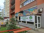 Умка (Volskaya ulitsa, 79), children's developmental center