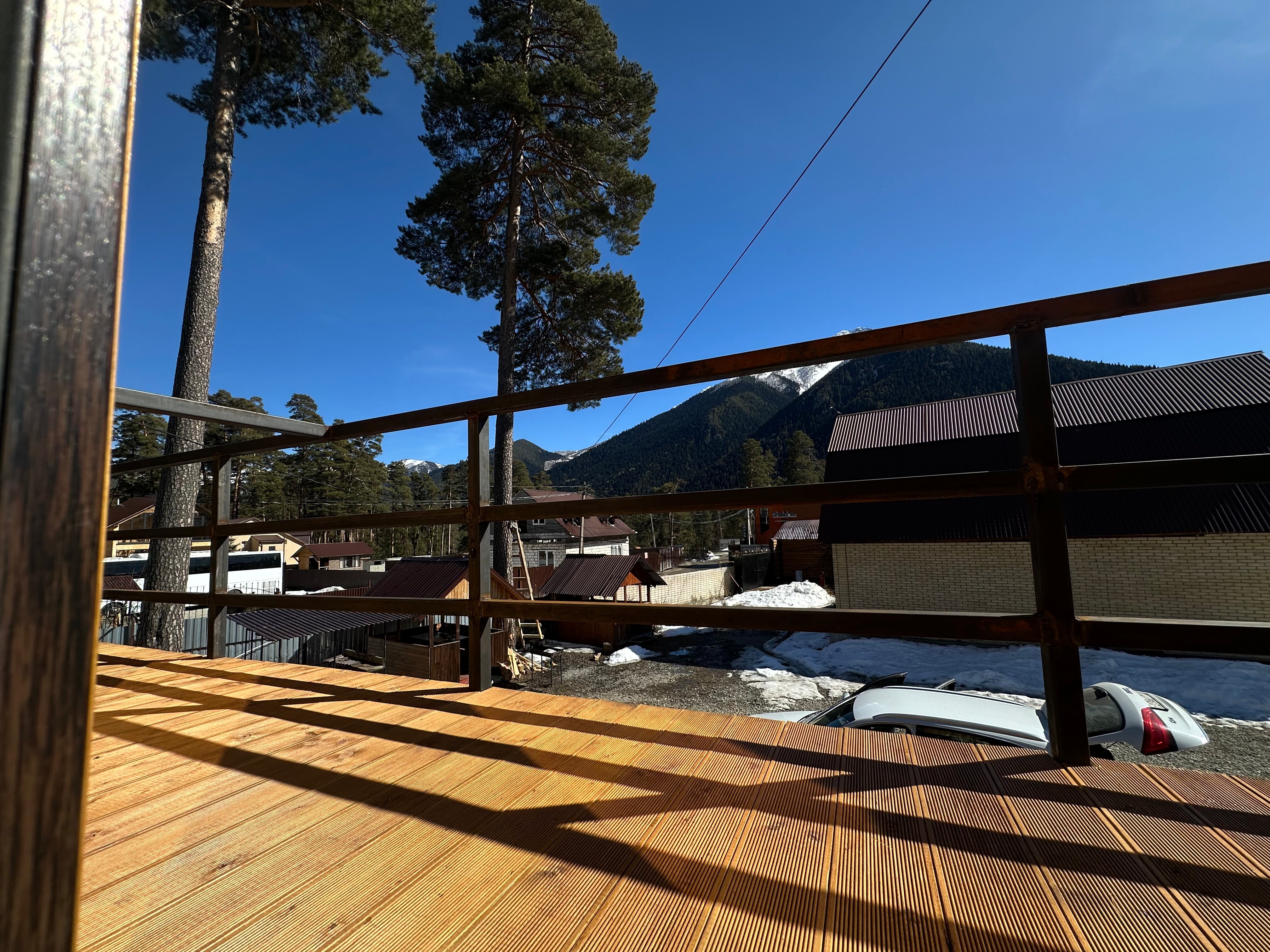 Фото 3 сосны