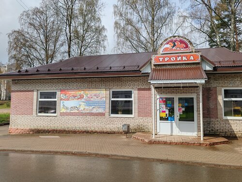 Grocery Тройка, Novgorod Oblast, photo