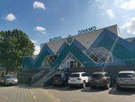 Бассейн Динамо (Кишинёв, микрорайон Малая Малина), бассейн в Кишиневе
