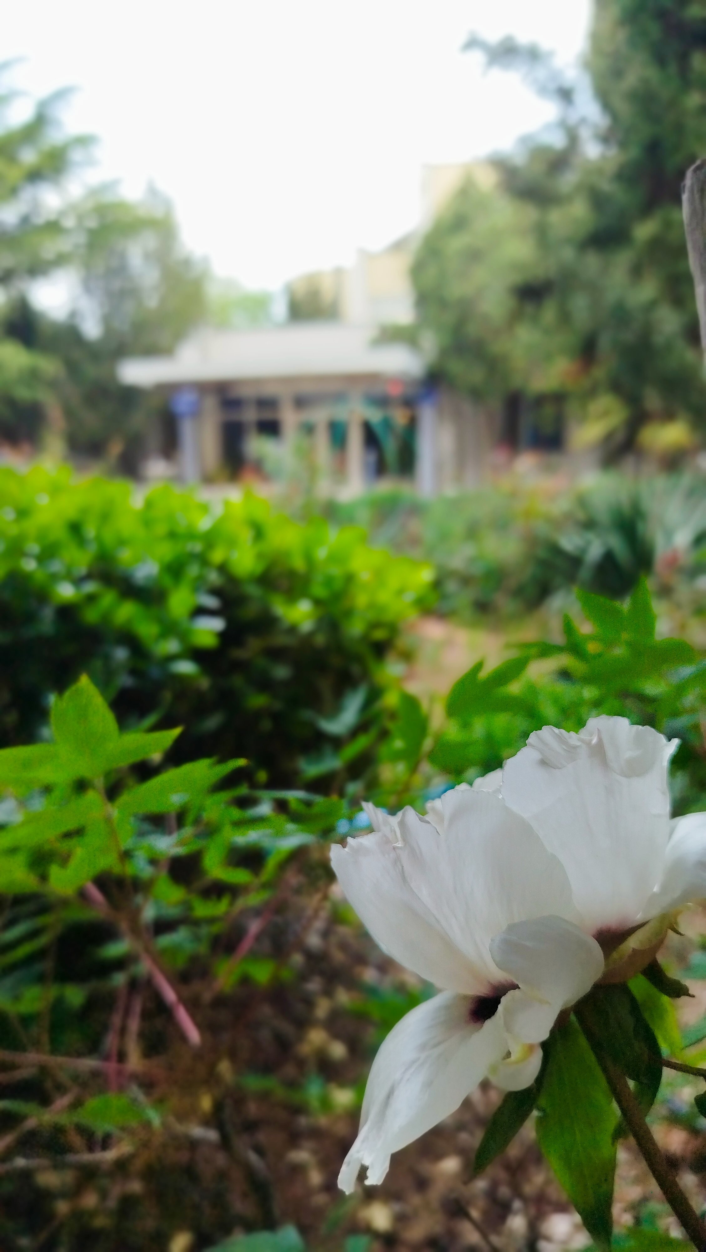 Фото Альбатрос