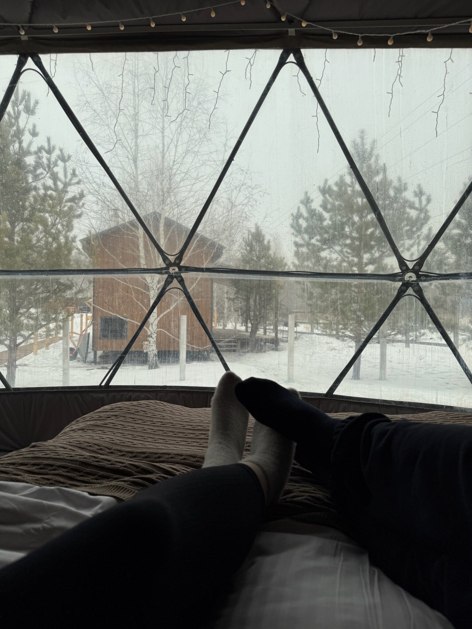 Фото Гевара Дача