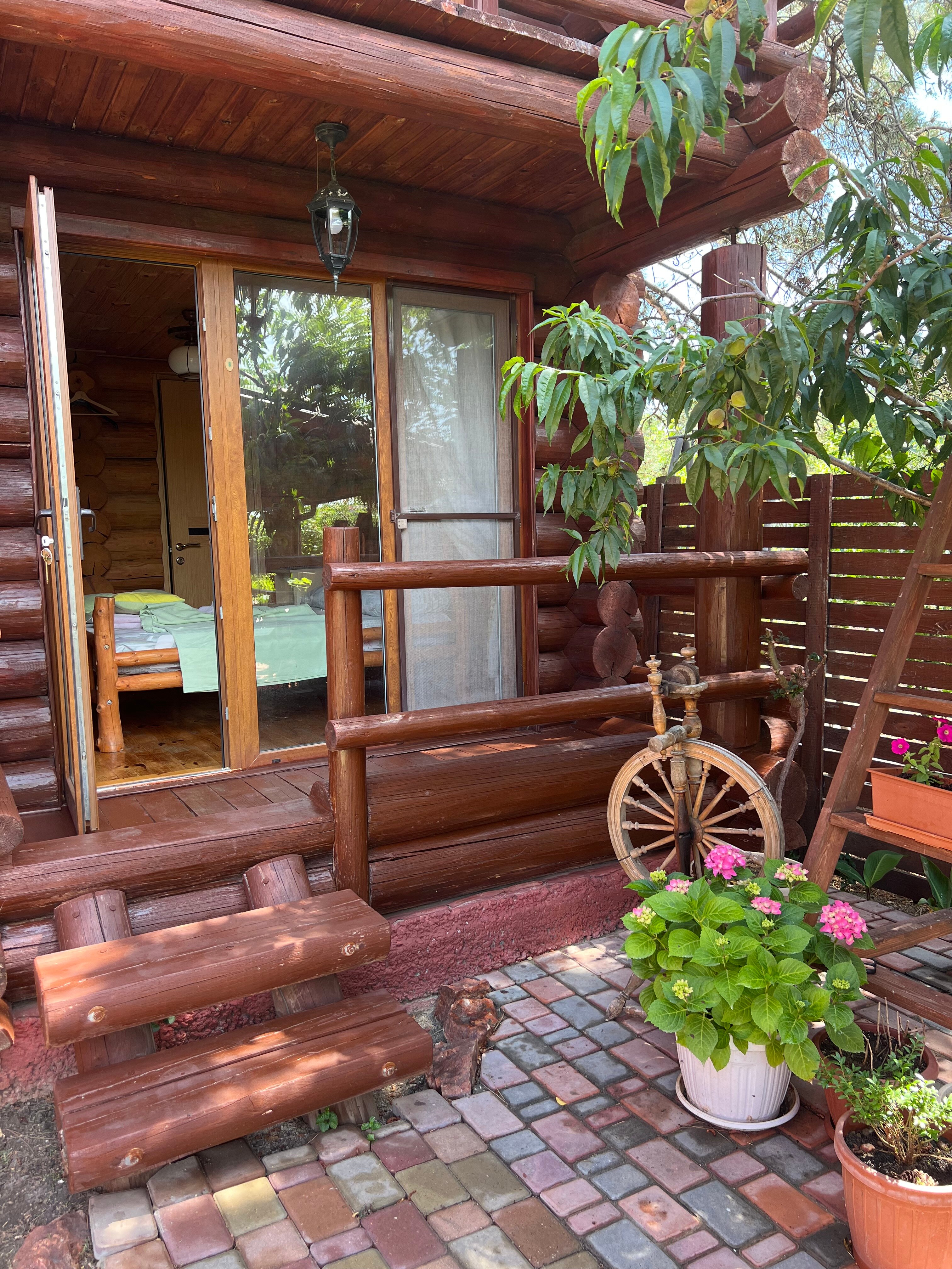 Фото Сосновый двор