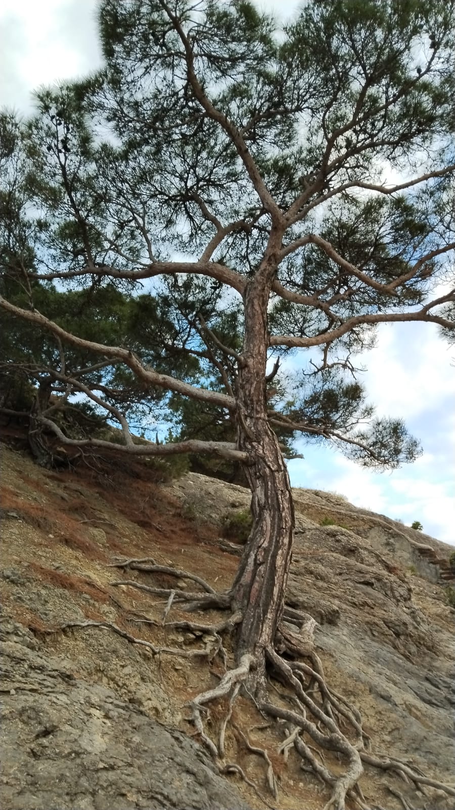 Фото Южный берег Сервет