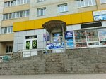 Chibova (Kiyevskiy Boulevard, 18А), design studio