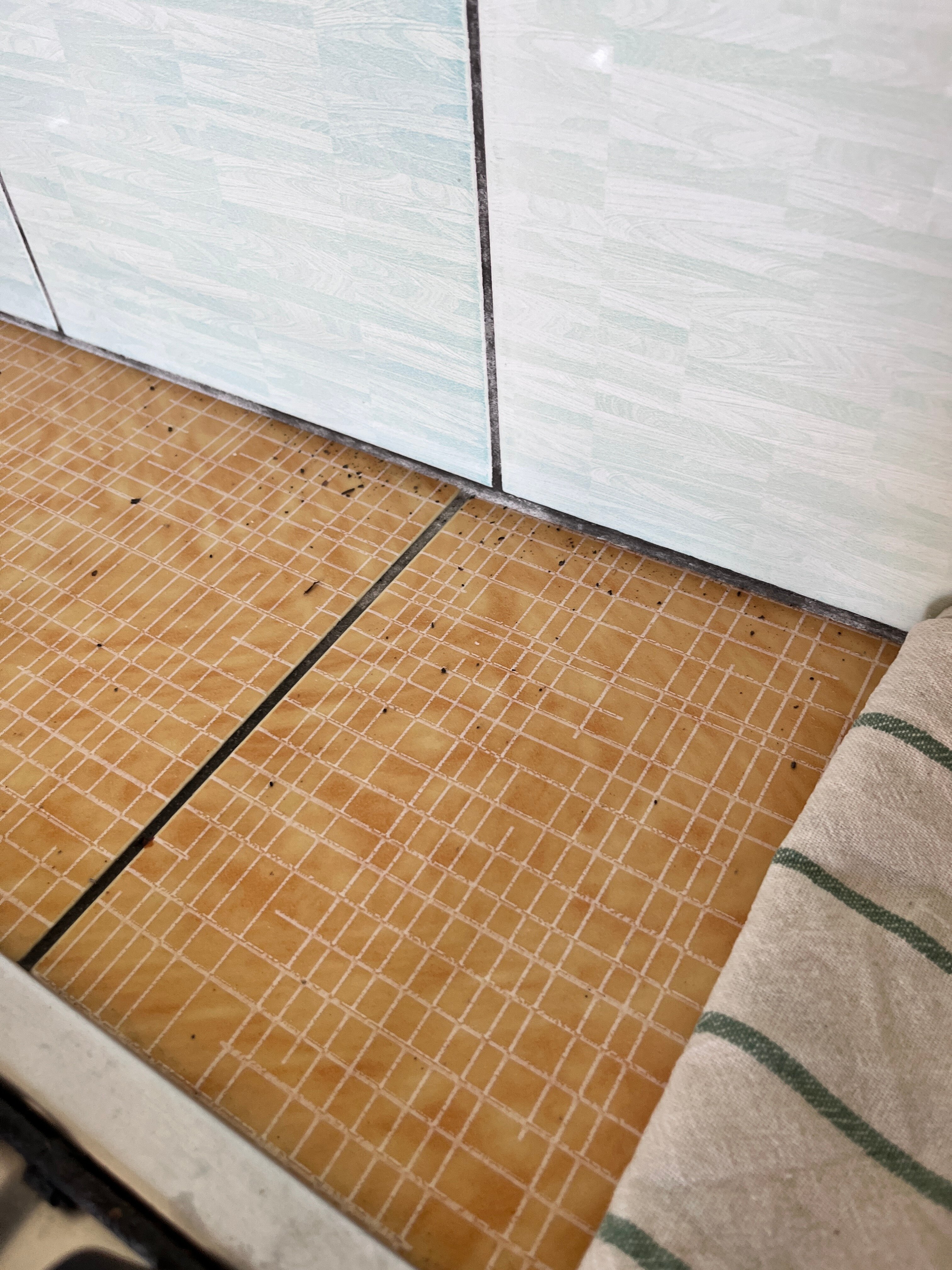 Фото Лилия-1