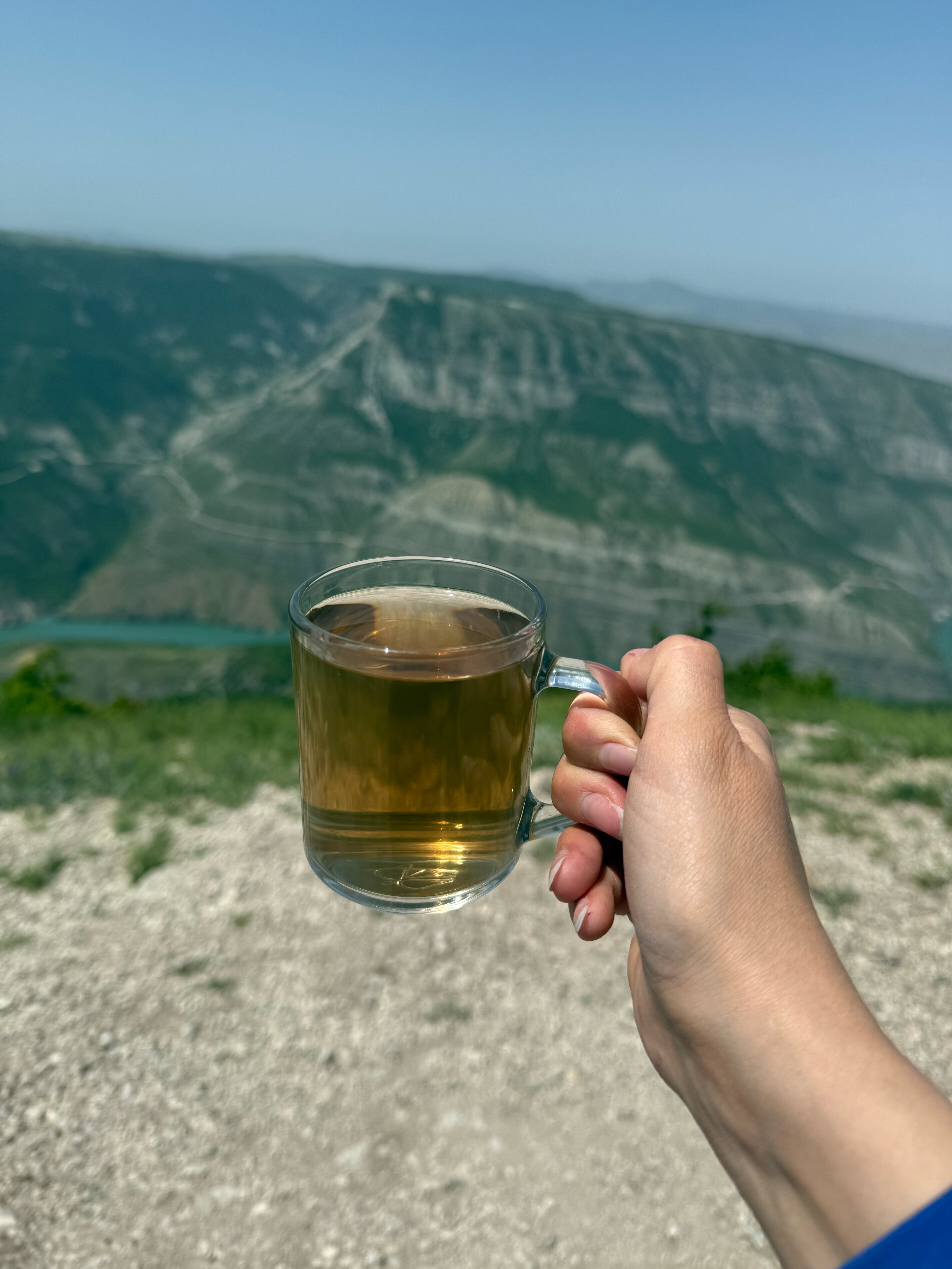 Фото Дубки Сулакский Каньон