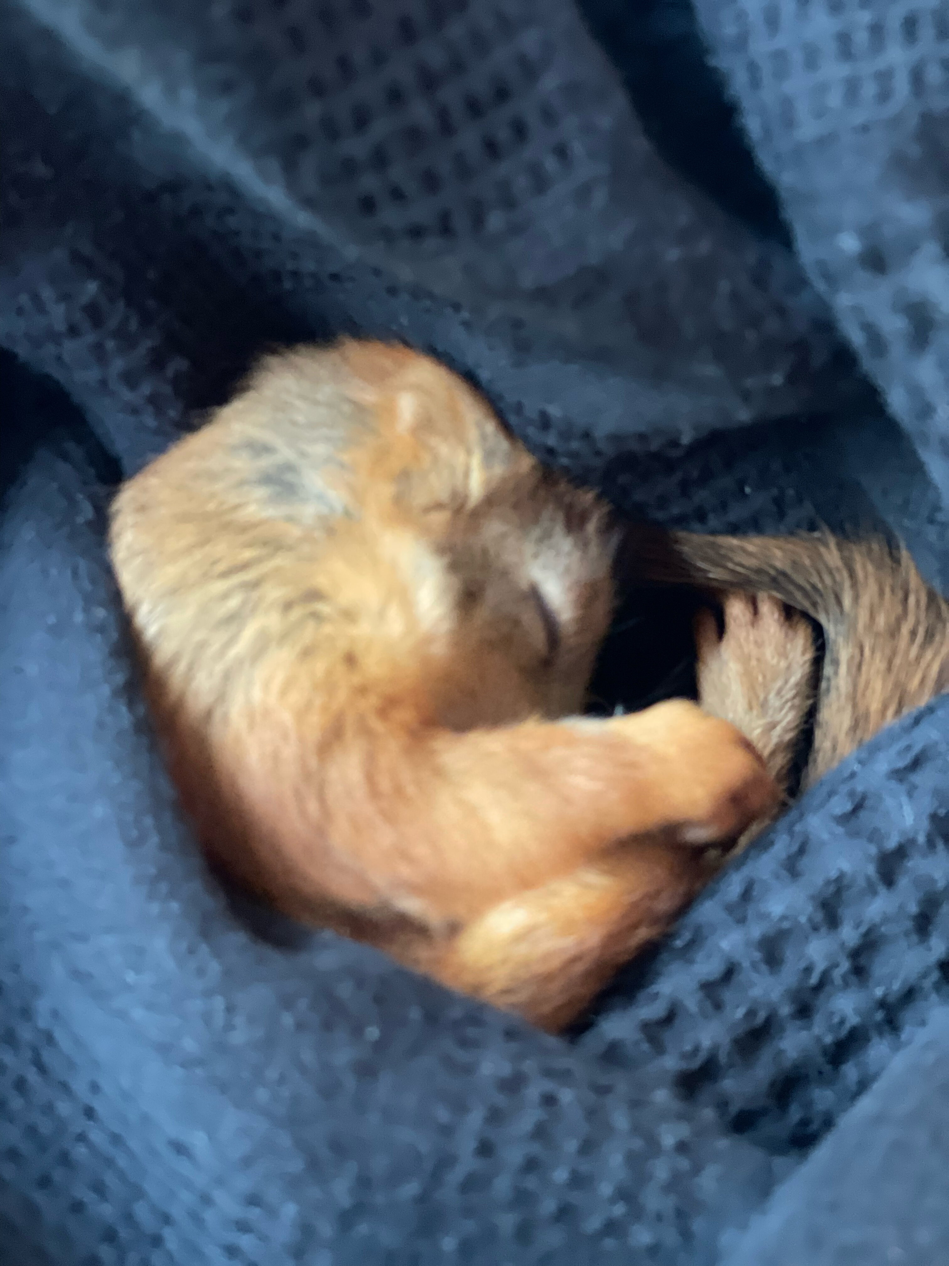 Фото Озеро белых лилий