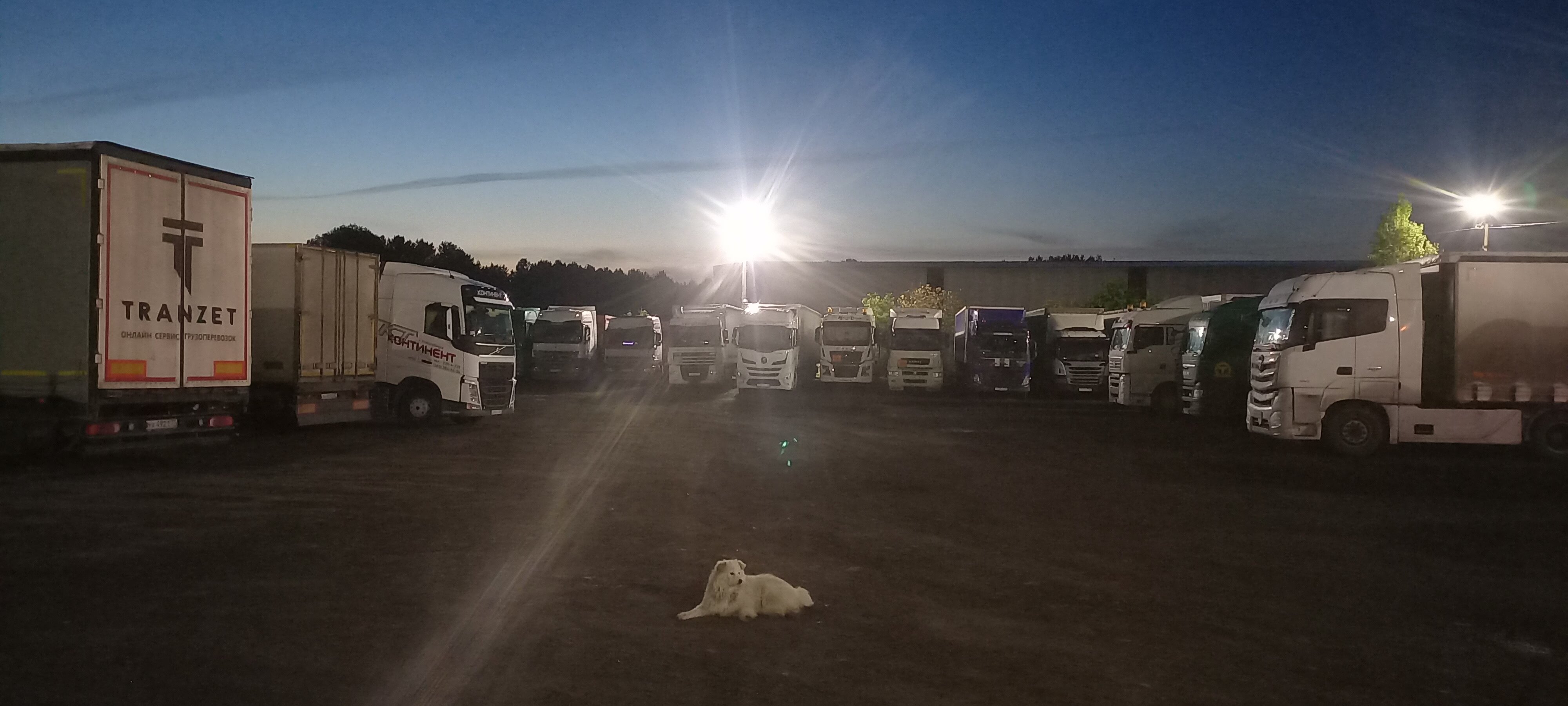 Фото День Ночь