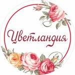 Цветландия (Тверь, просп. Чайковского, 16А), магазин цветов в Твери