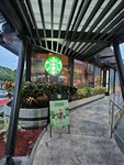 Starbucks (Santiago de Cali, Municipio de Santiago de Cali, Calle 38 Norte, 6N-35), coffee shop