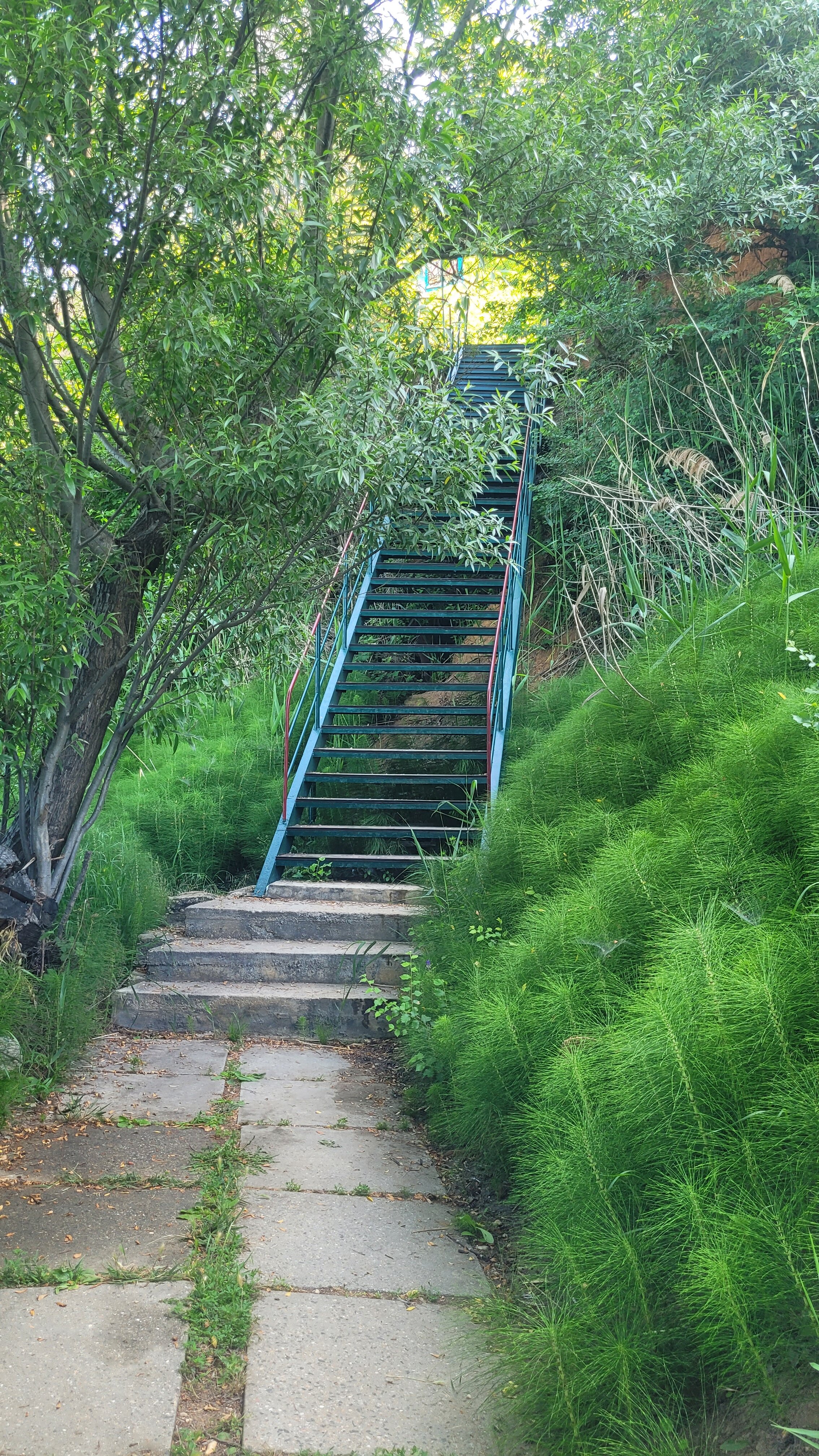 Фото Тимора