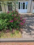 Медицинский центр Здоровье (ulitsa 60 let Rasskazovo, 29), centro médico, clínica