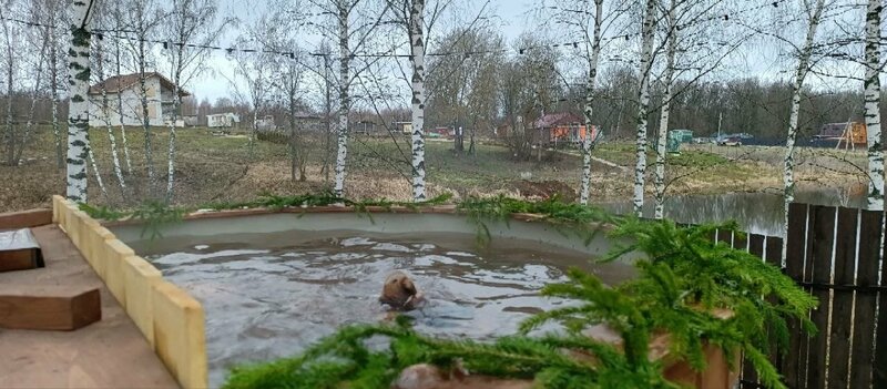 Дом у озера в лесу — фото 50