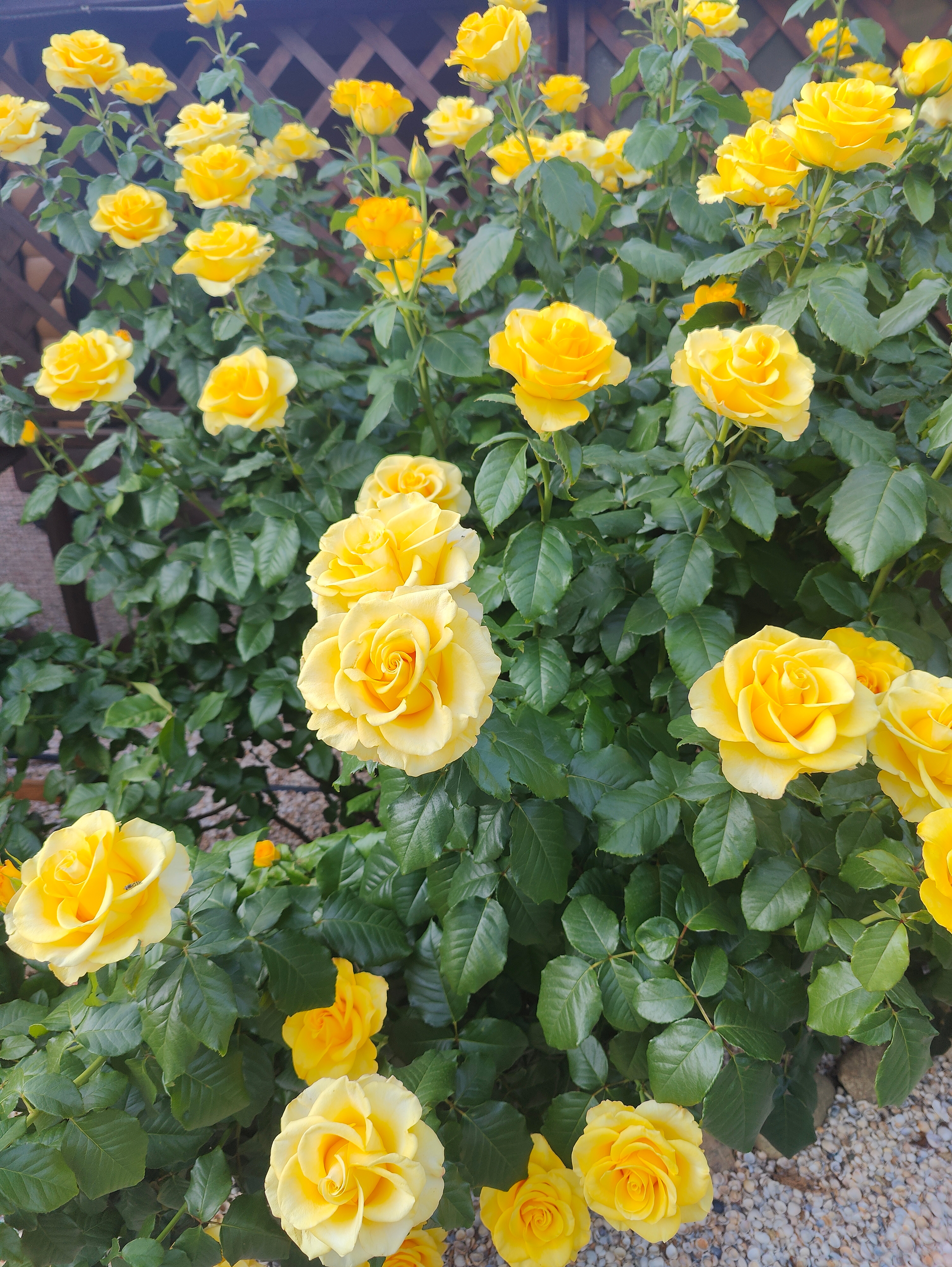 Фото Дом для отдыха на Фрунзе