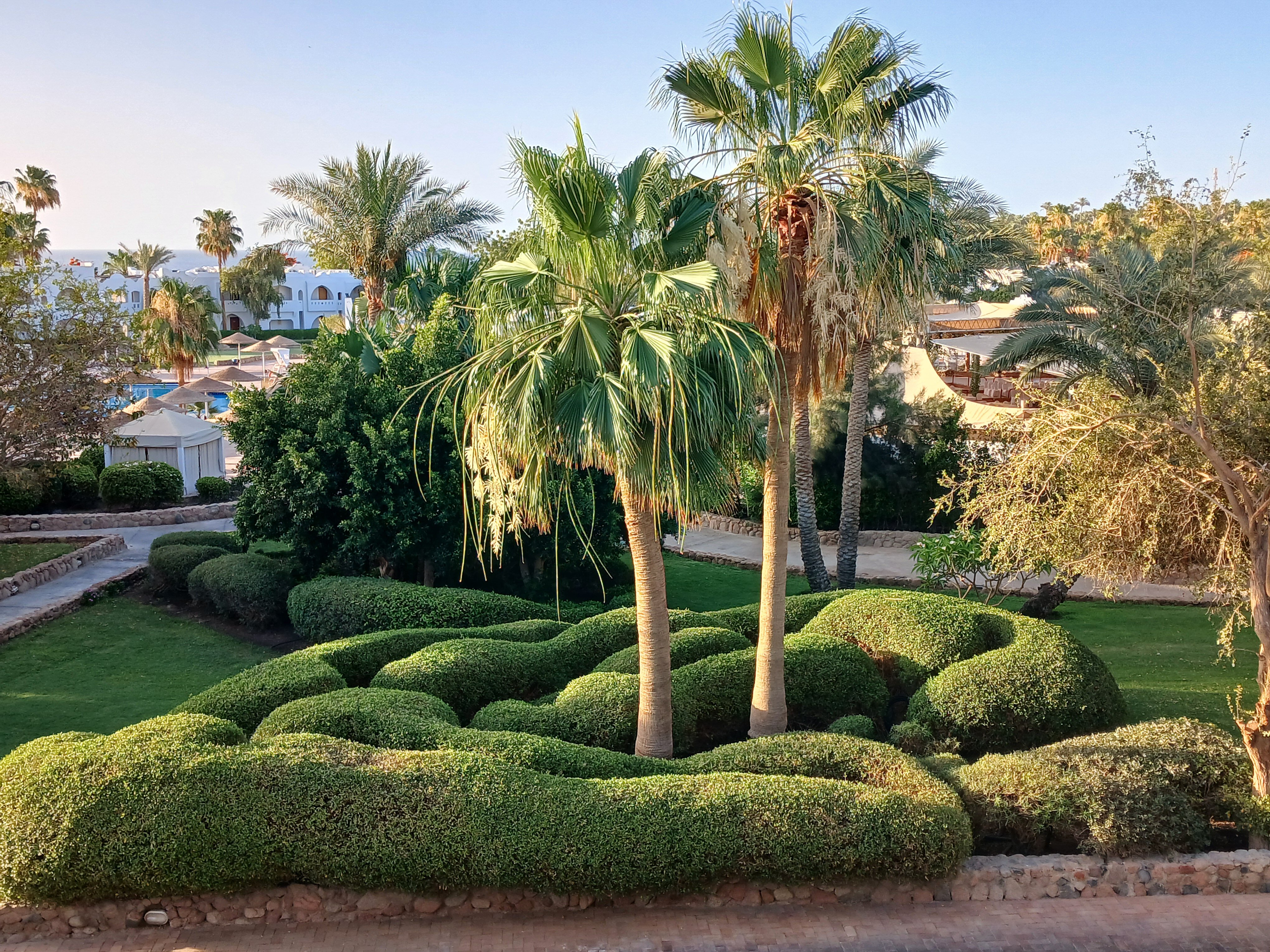 Фото Domina Coral Bay Aquamarine