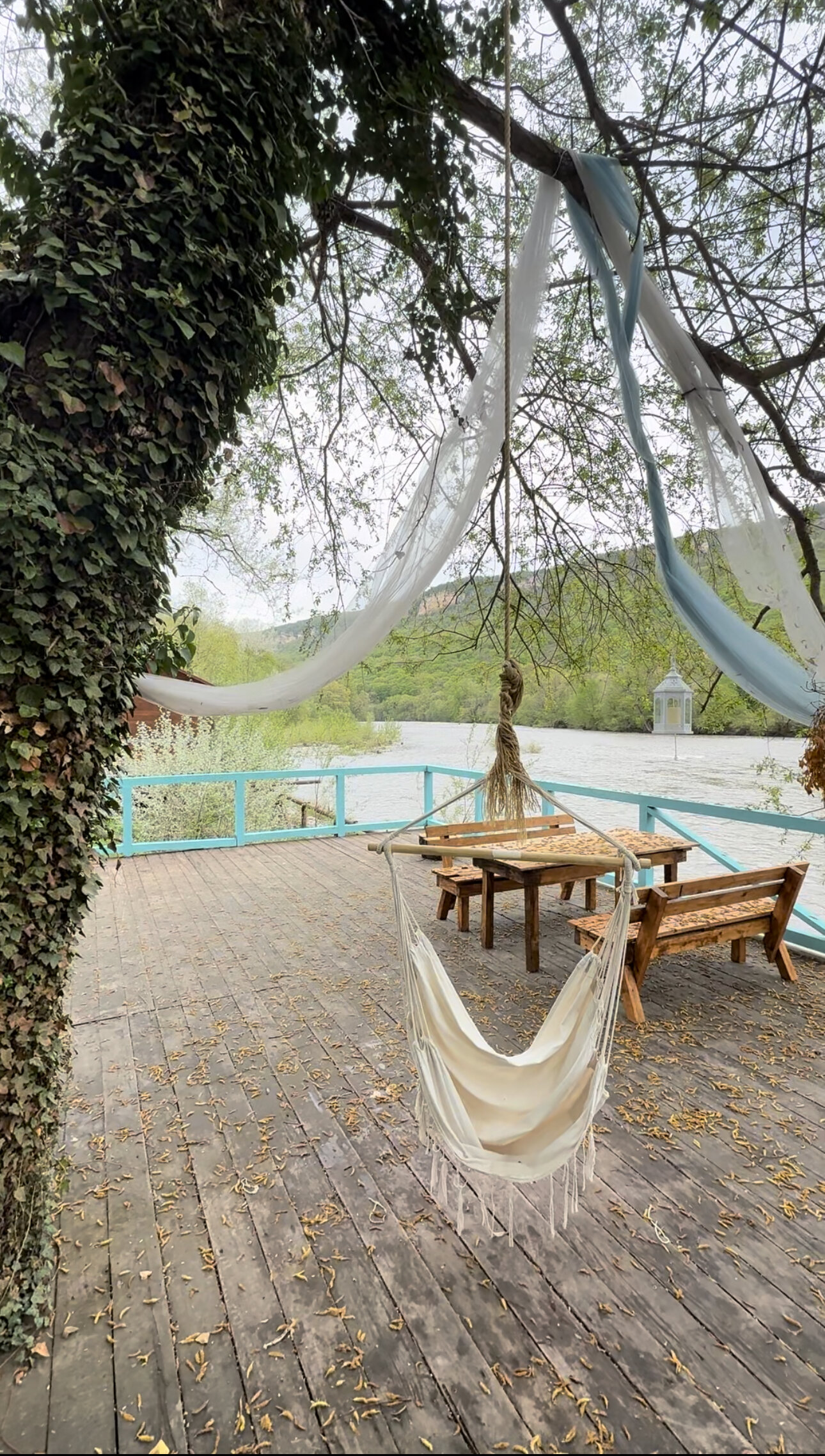 Фото Кактус Арт