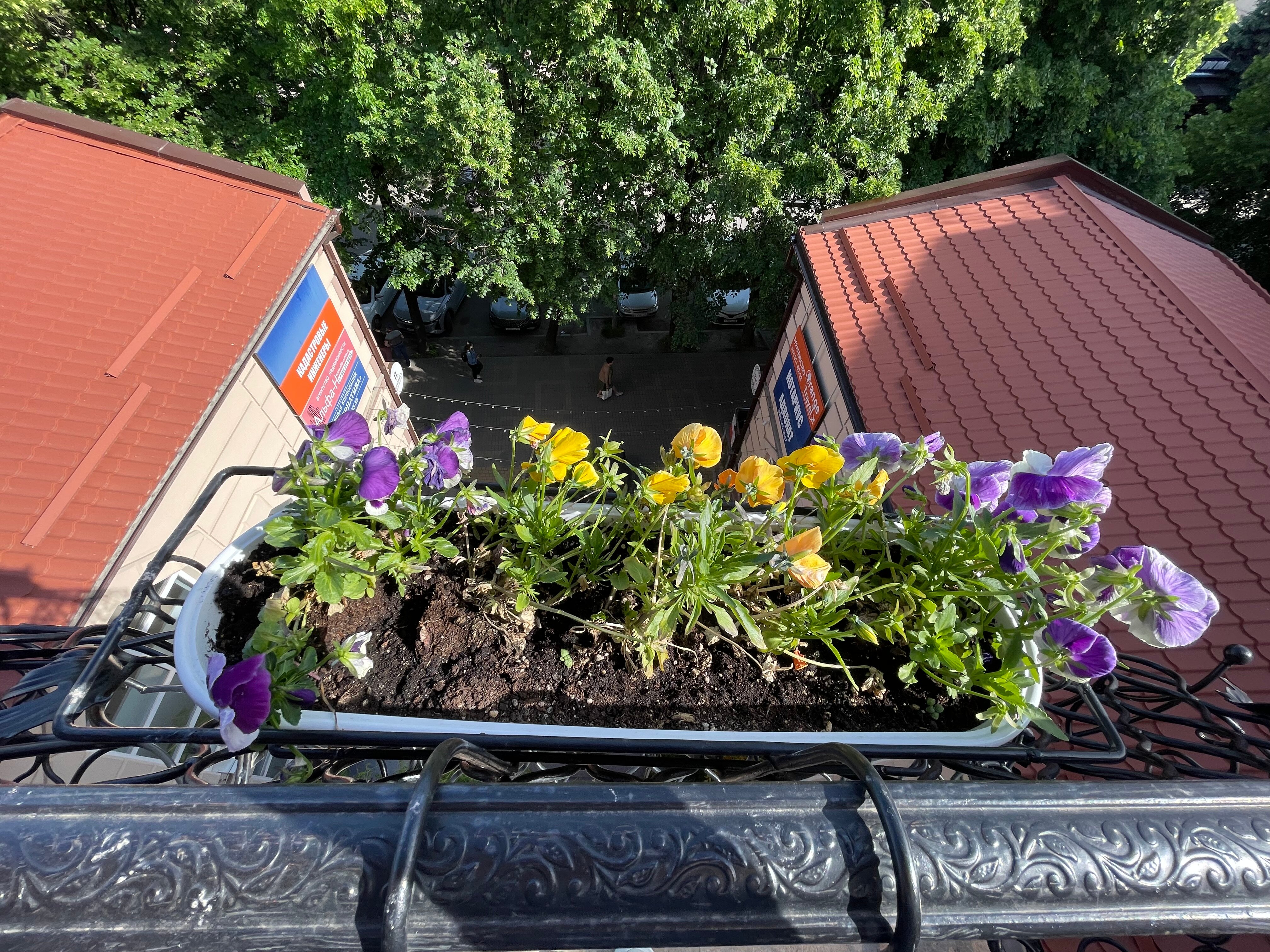 Фото Пассаж	