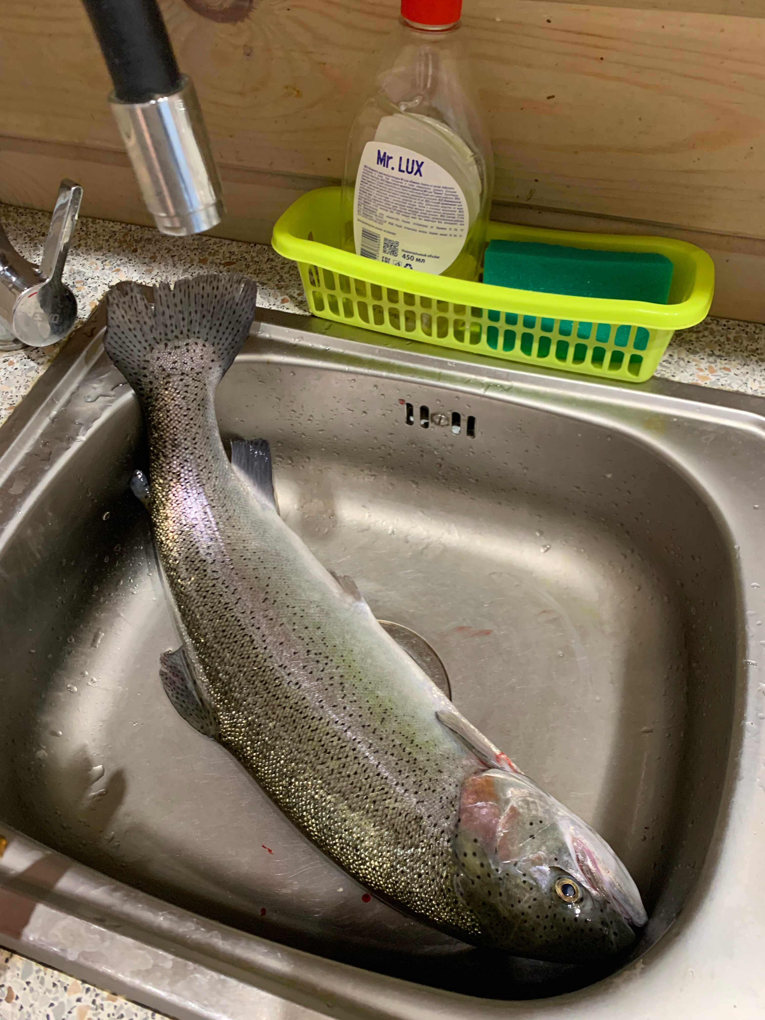 Фото Береговая