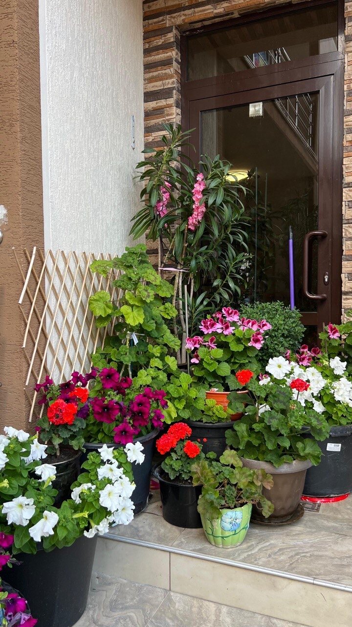 Фото Гостевой дом Эллада