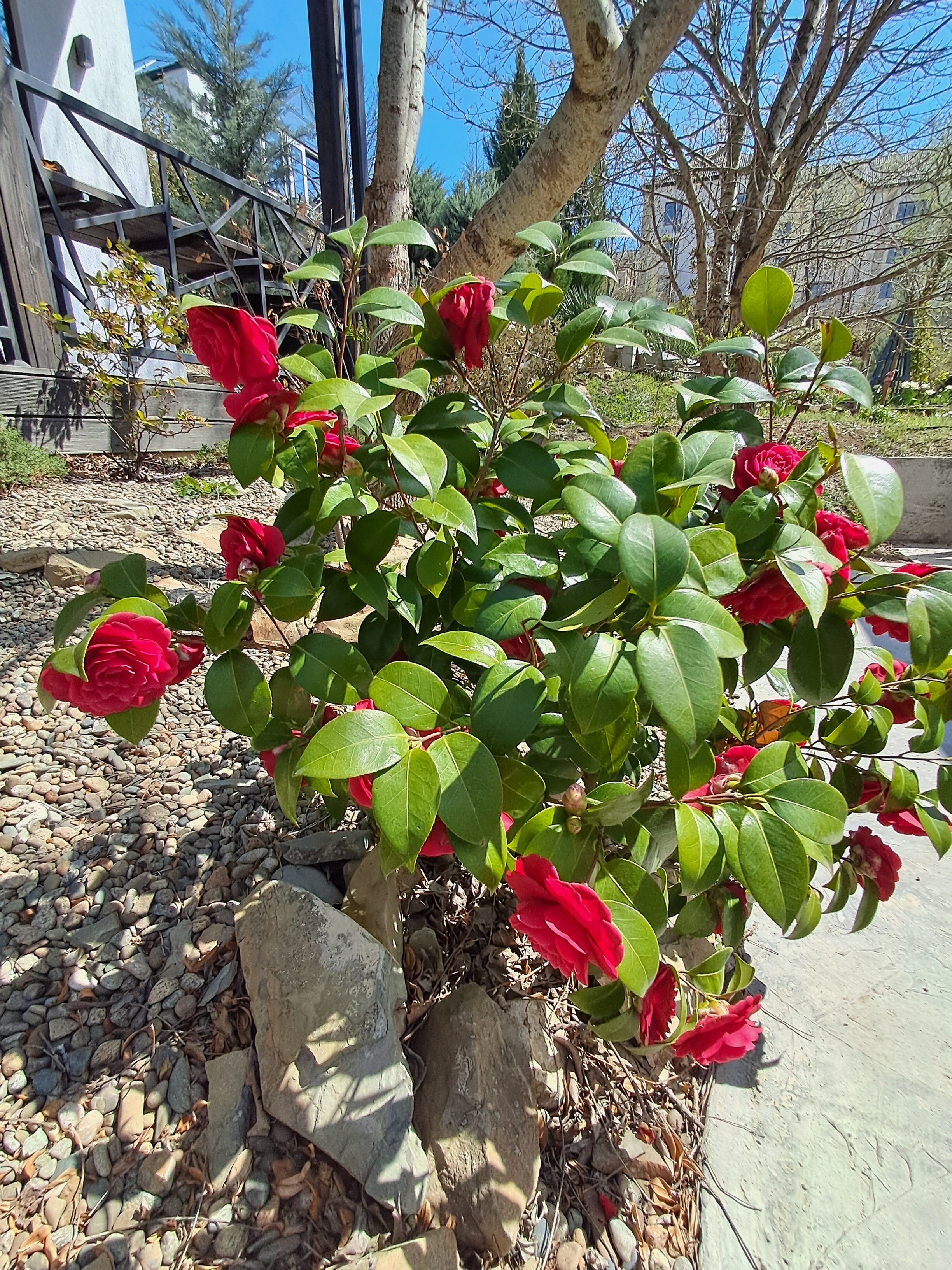 Фото Abrau Garden