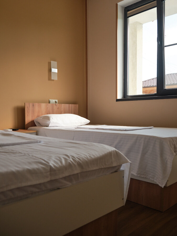 Фото Малина