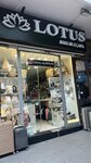 Lotus Shoe Bag (Izmir, Konak District, Inonu Avenue, 46), shoe store