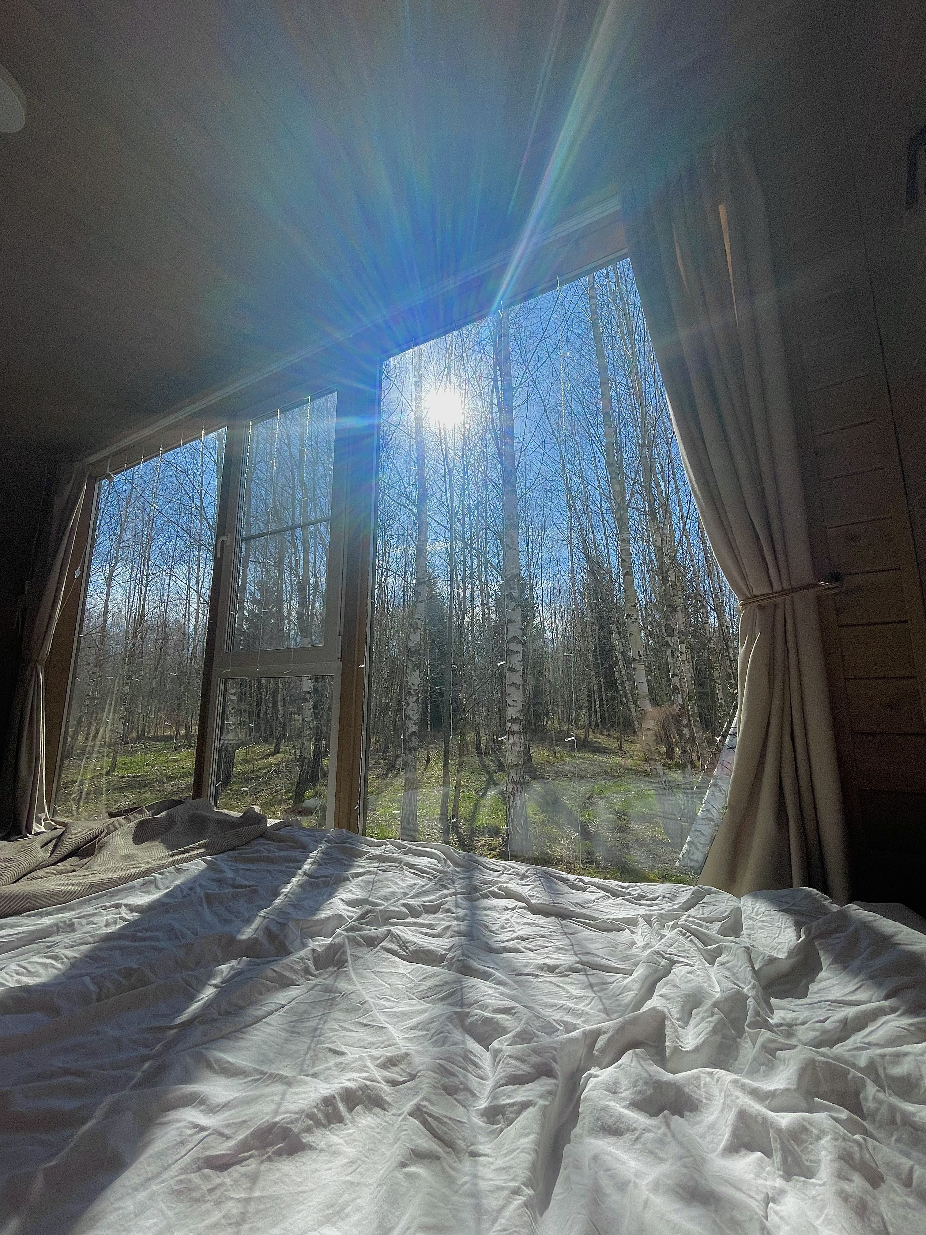 Фото Два зайца