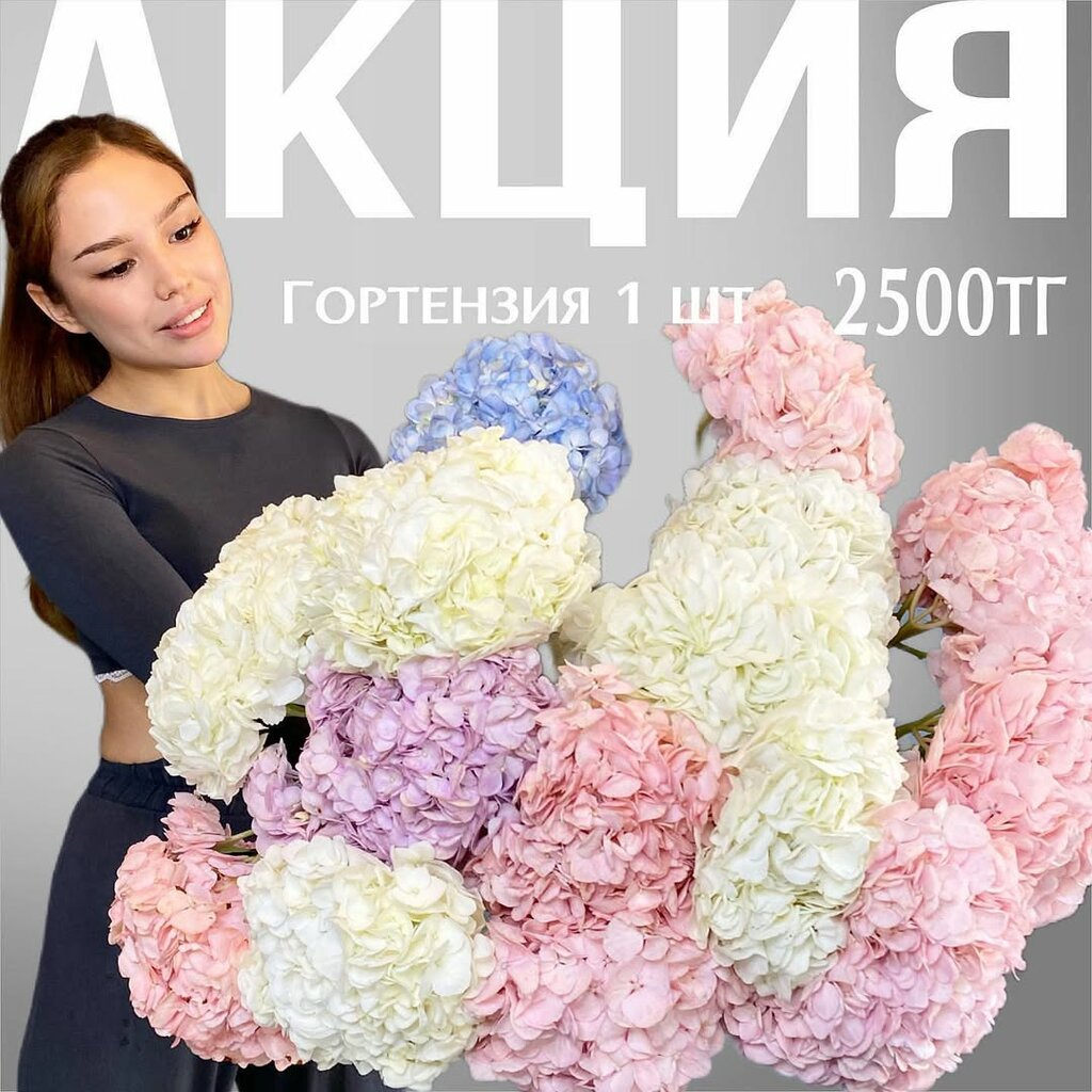 Information website V Almaty Peptidesco Asia, Almaty, photo