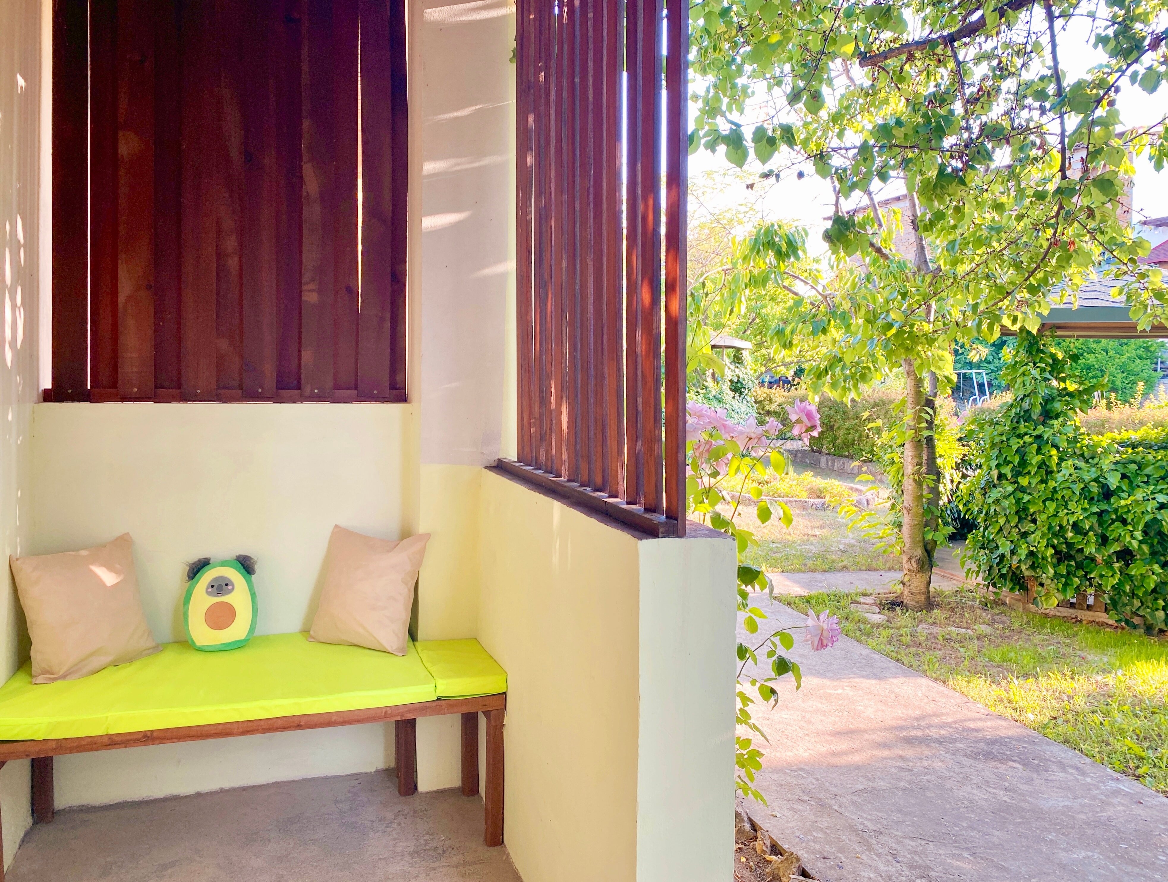 Фото АвокаДа