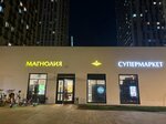 Магнолия (Moscow, Otkrytoye Highway, 18Ак3), grocery