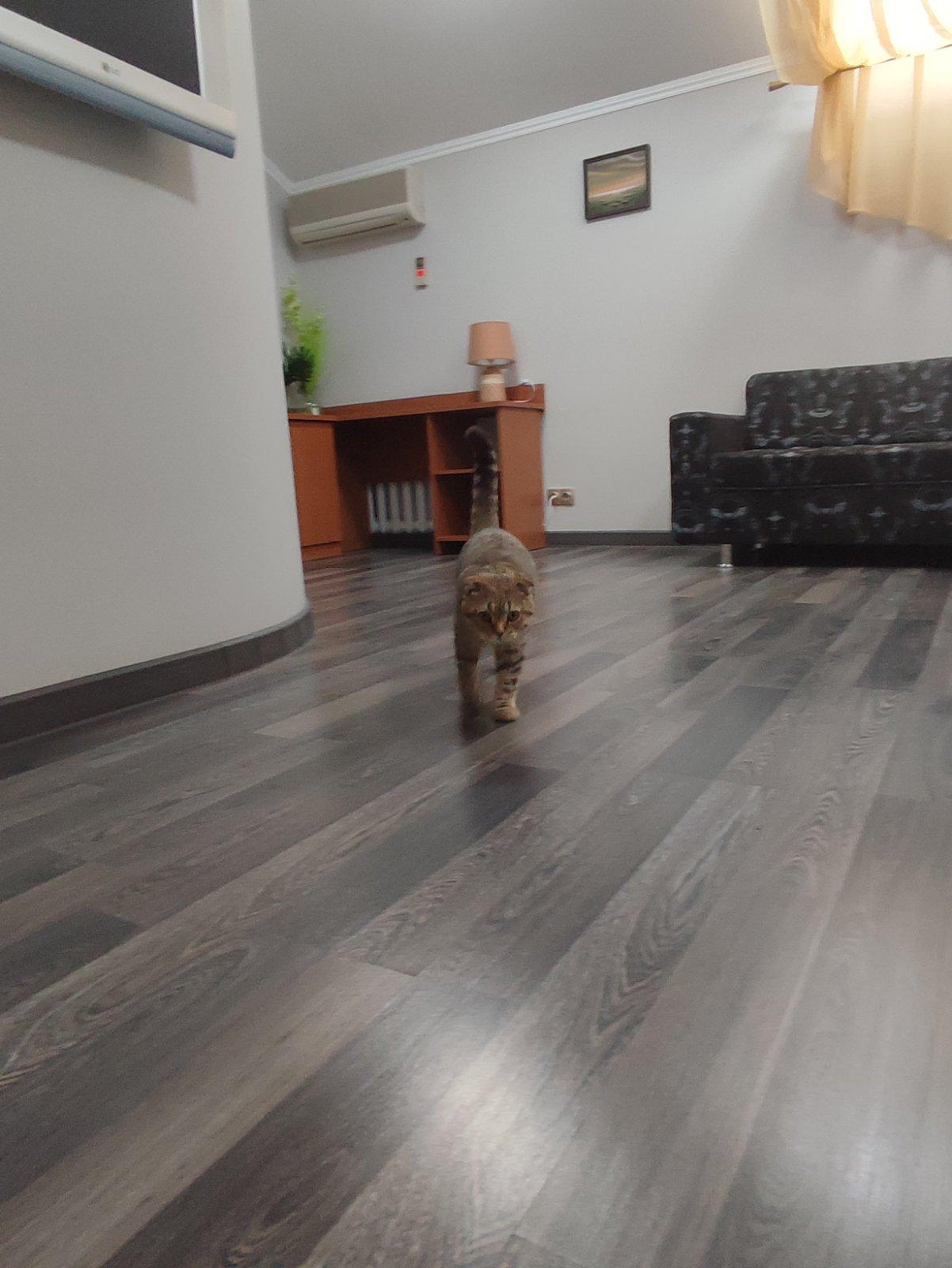 Фото Клубная