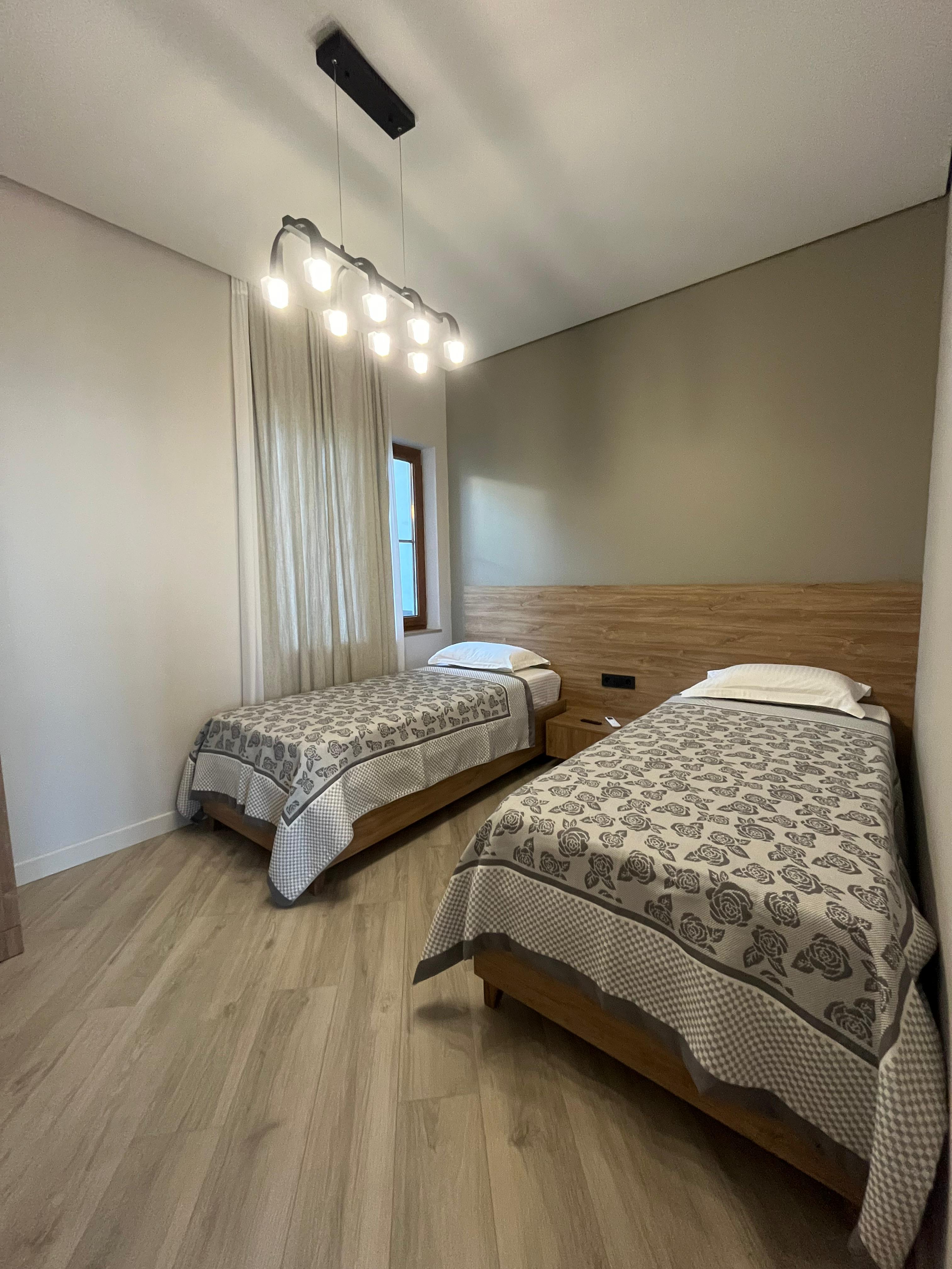 Фото Павлония