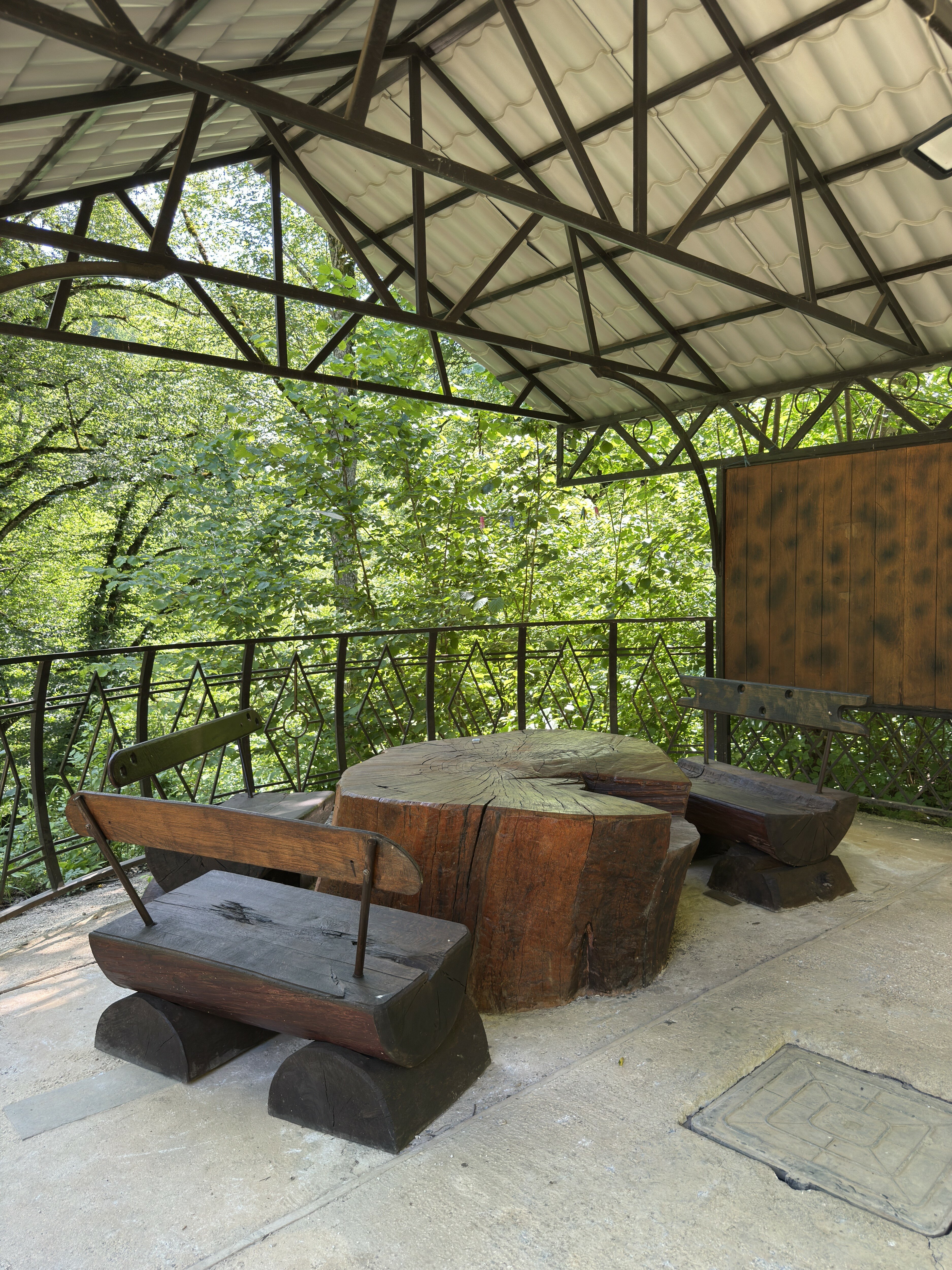 Фото Shelest Lesa