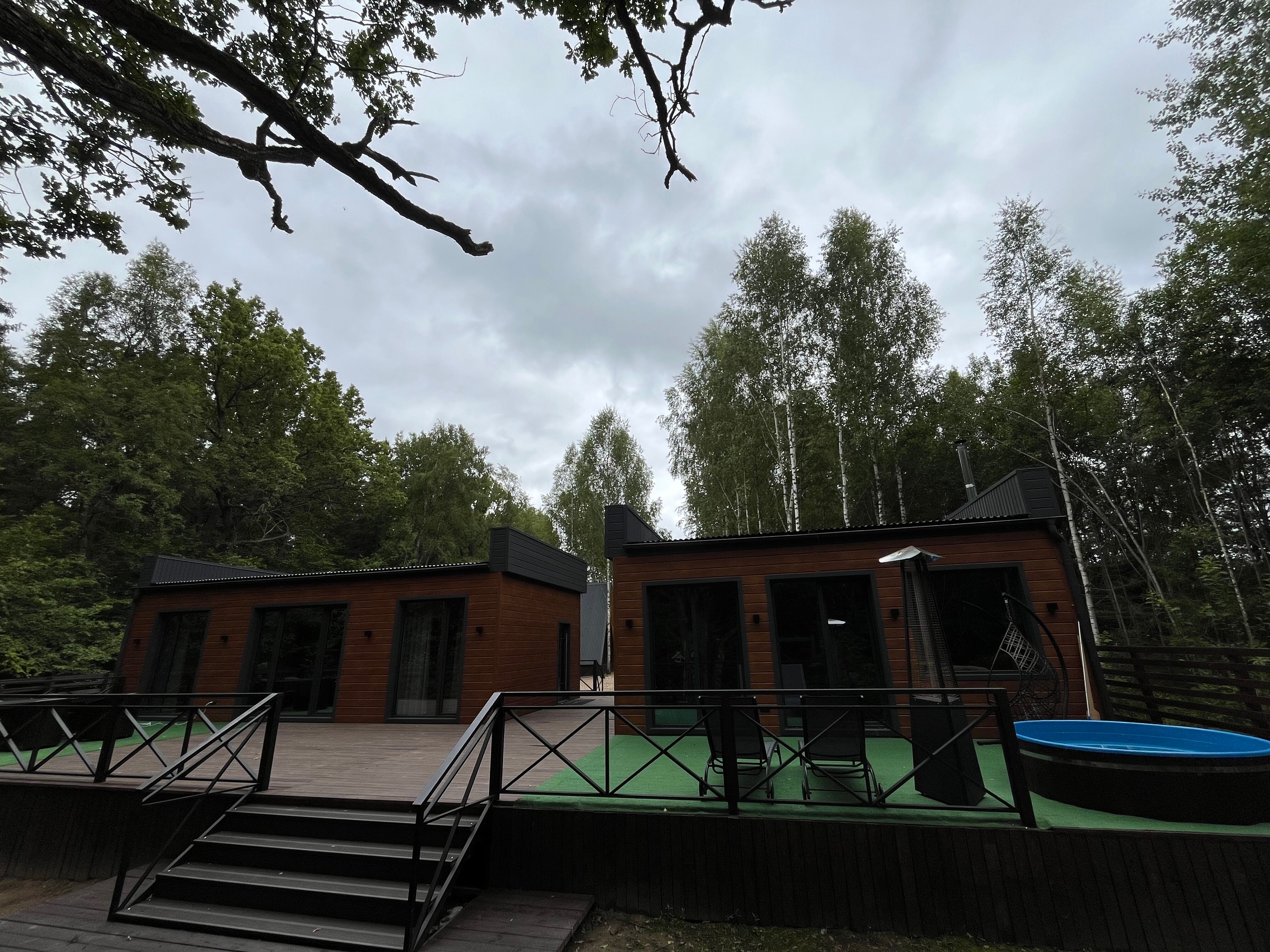 Фото Старый дуб