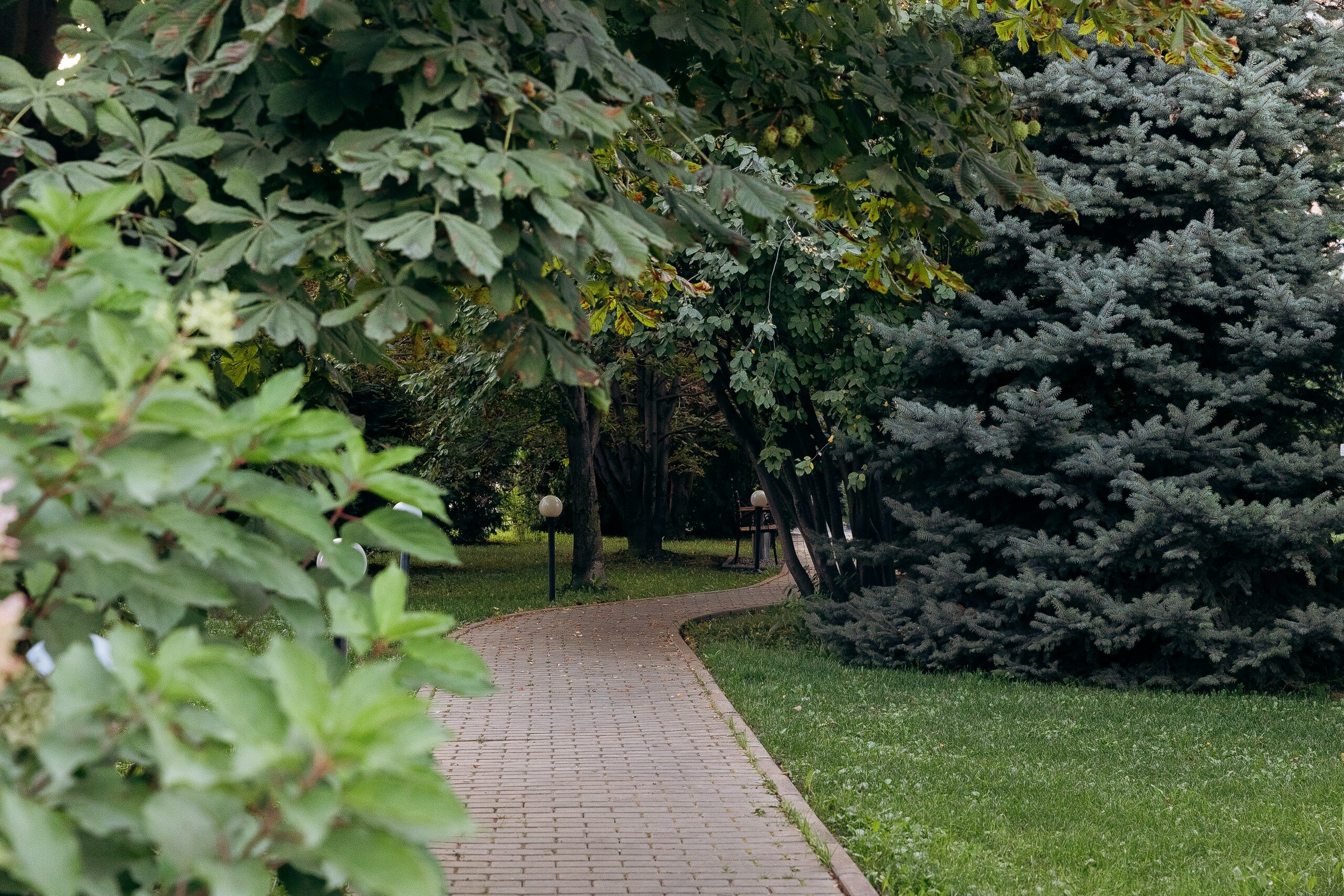 Фото Для Вас