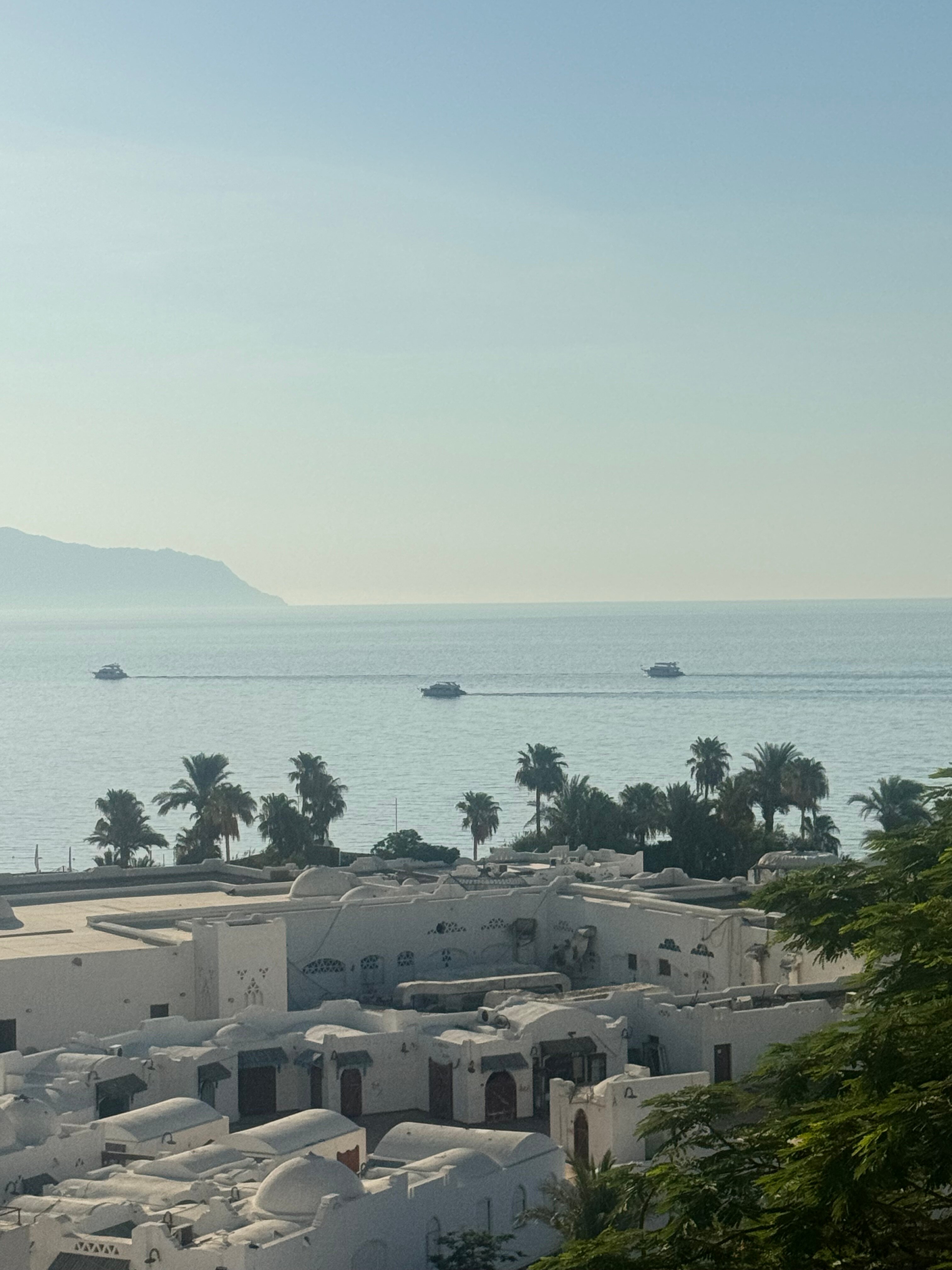 Фото Domina El Sultan Hotel & Resort