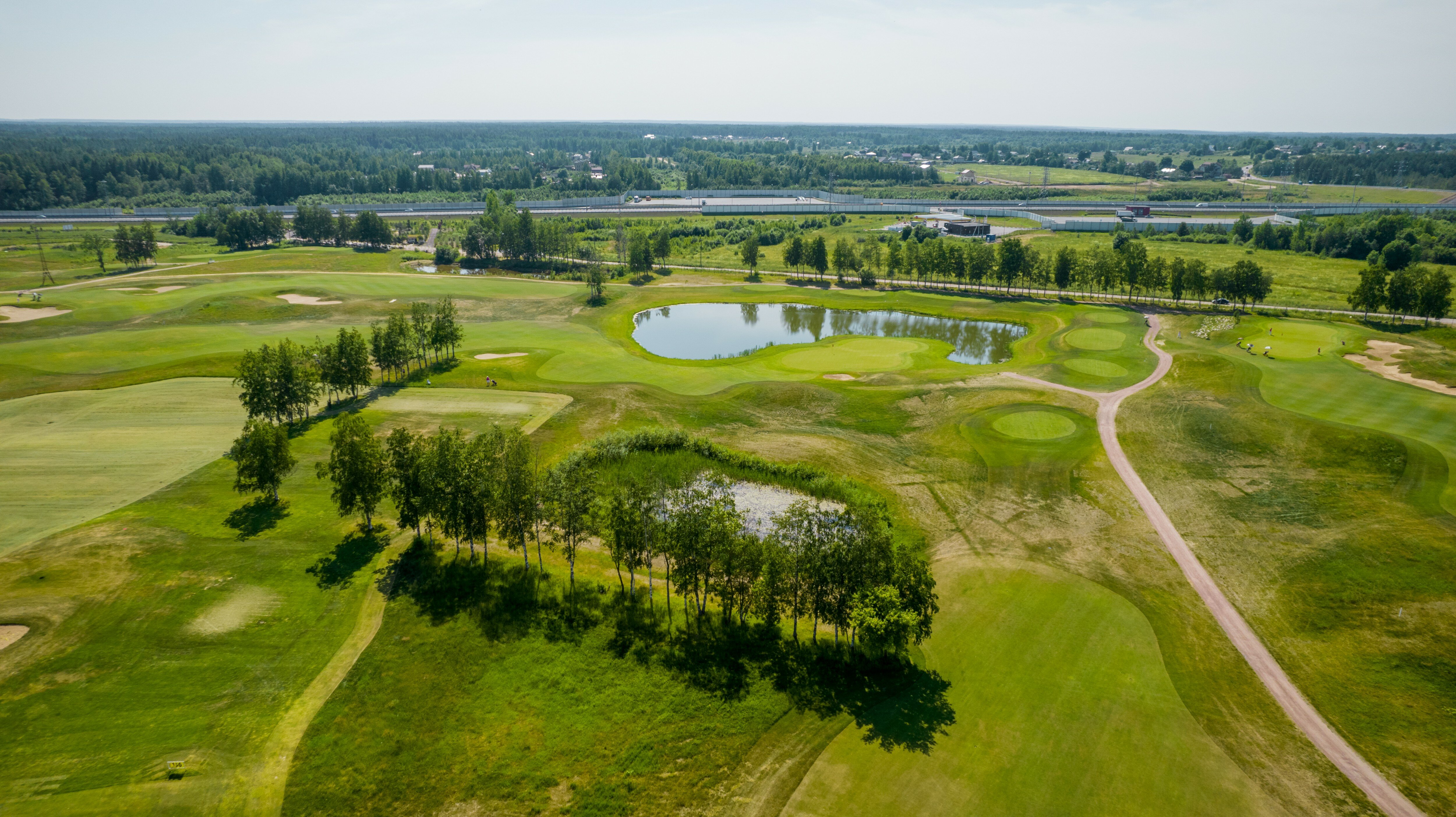 Фото Земляничные Поляны