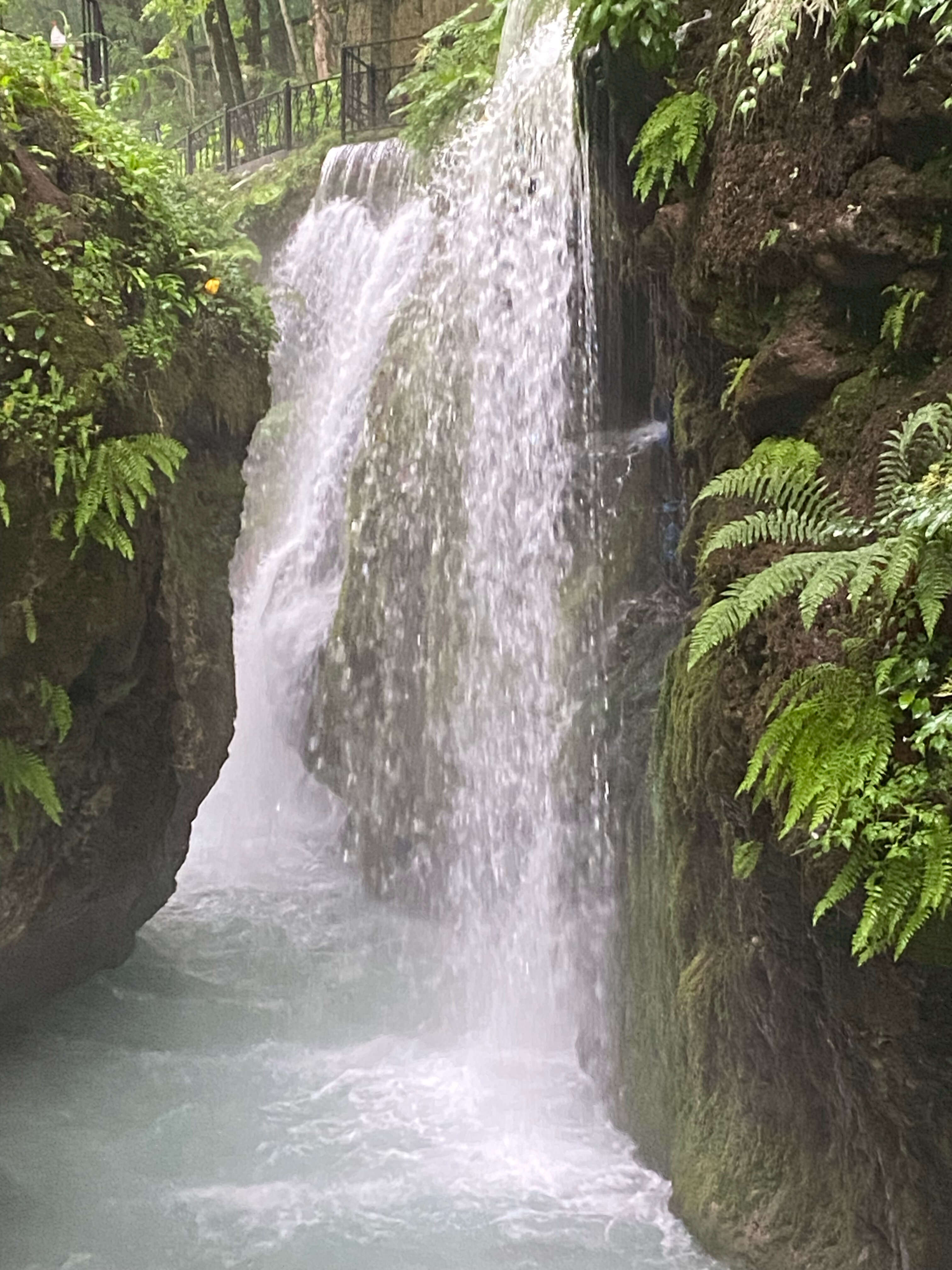 Фото Гранд Фазенда