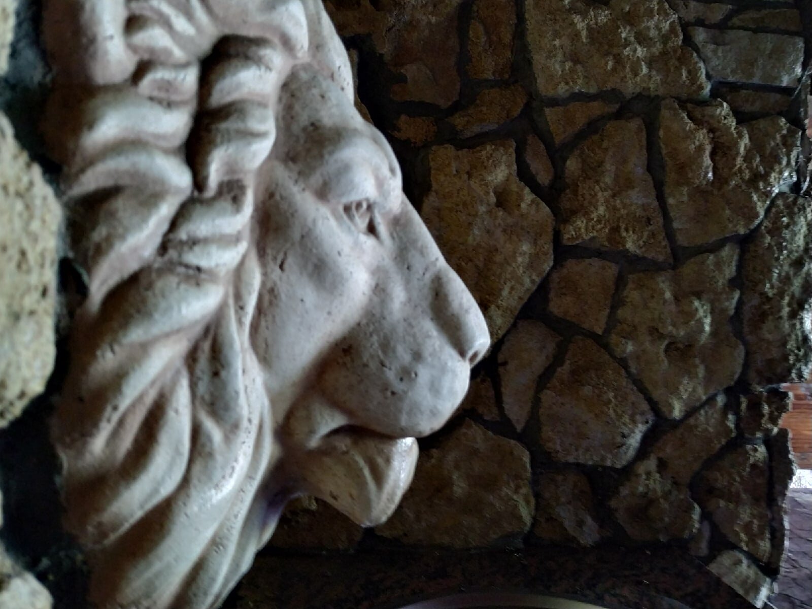 Фото Жемчужина