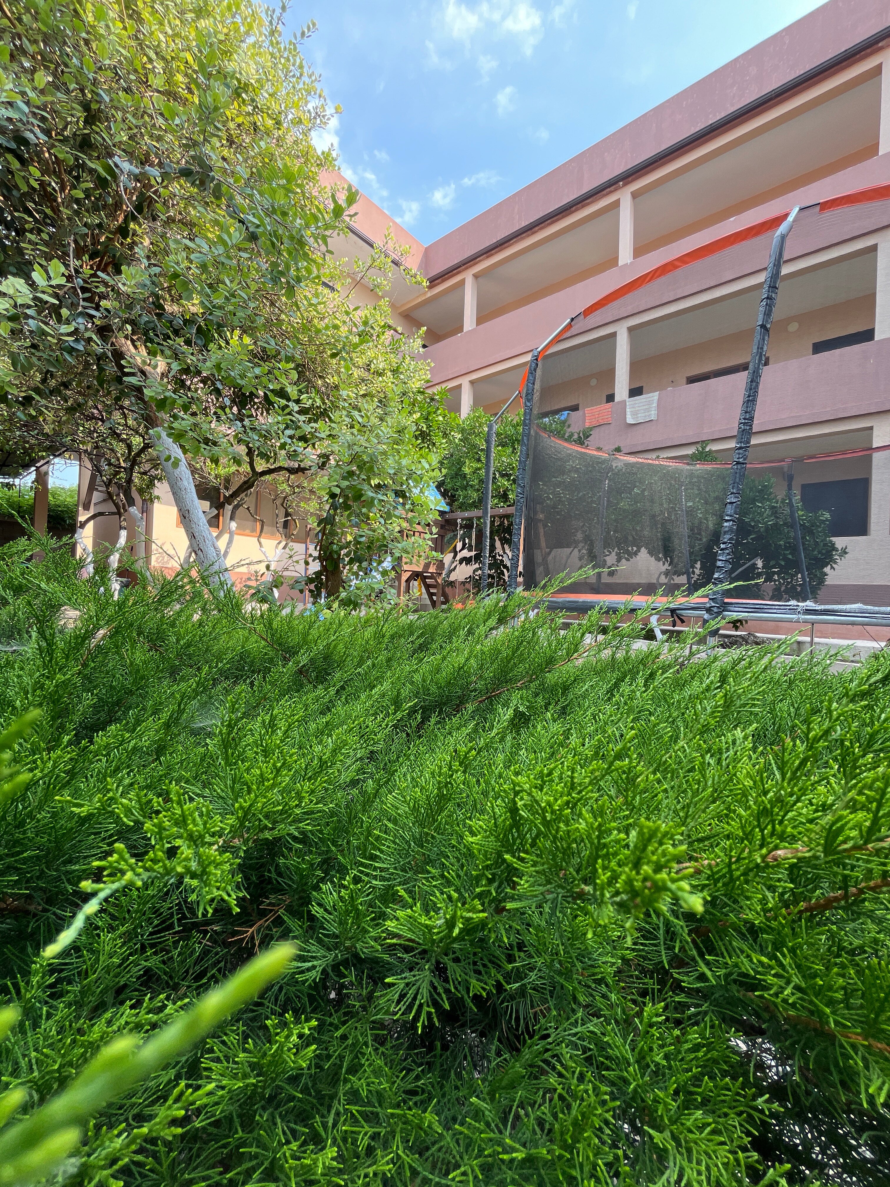 Фото Калипсо