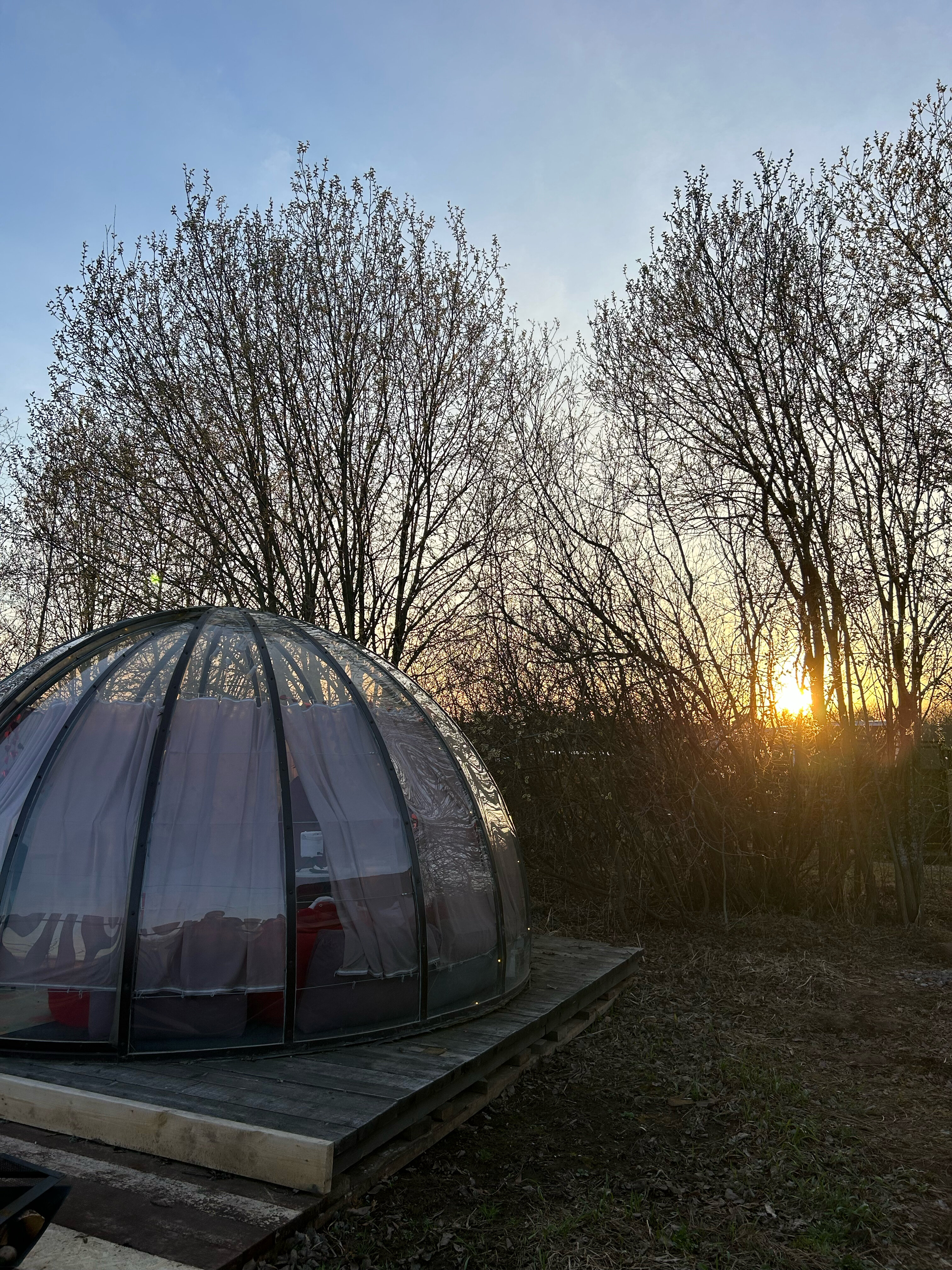 Фото Дельта