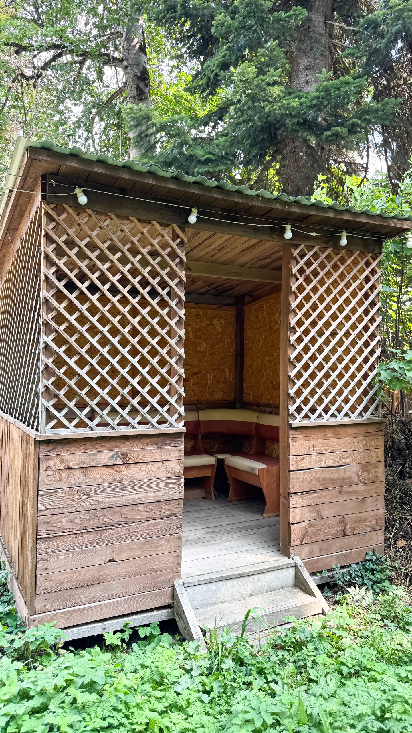 Фото Золотой Орёл