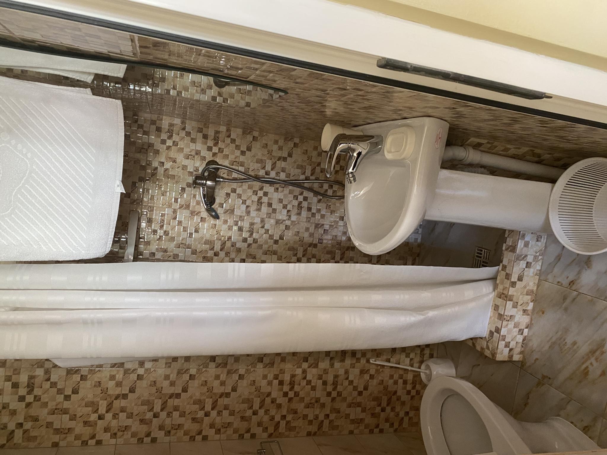 Фото Адениум 585