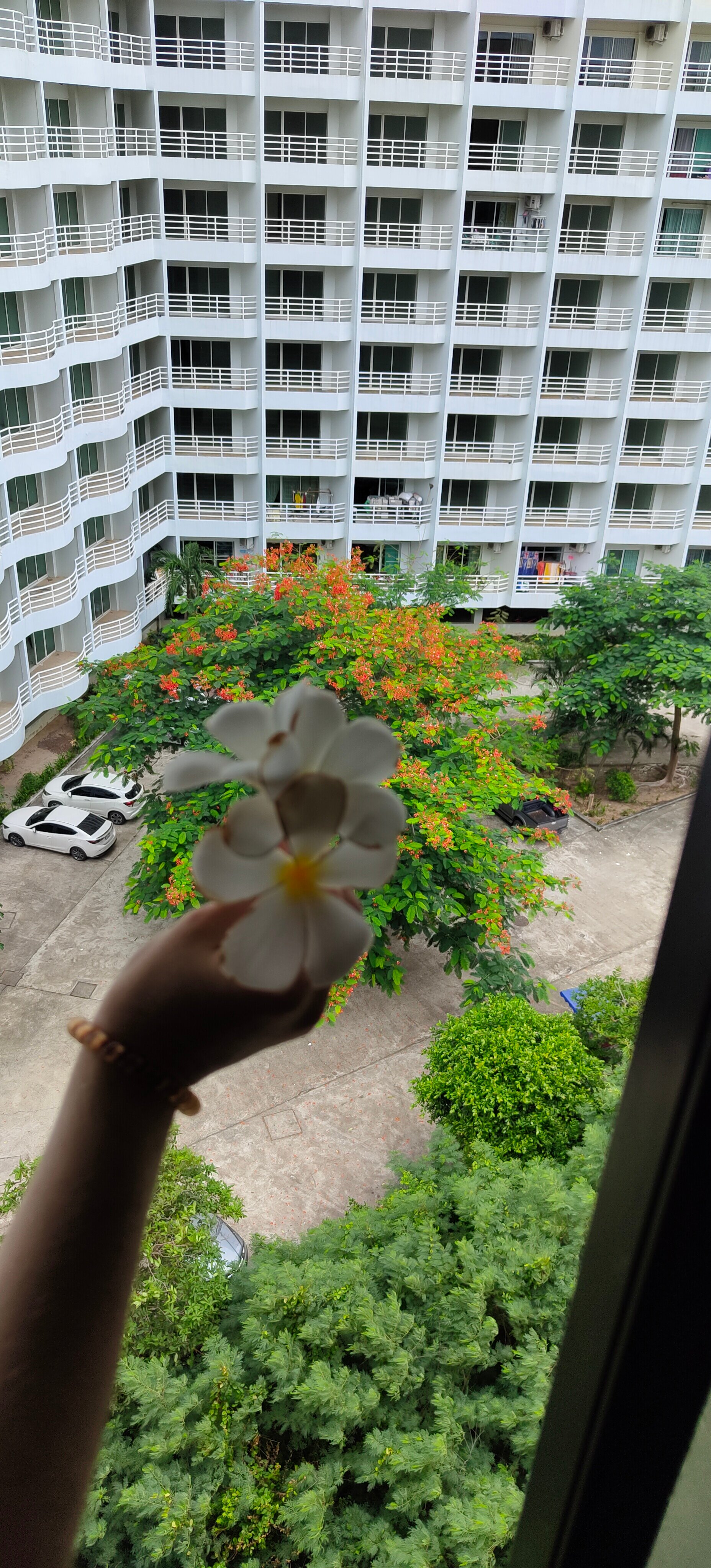 Фото Welcome World Beachfront Resort