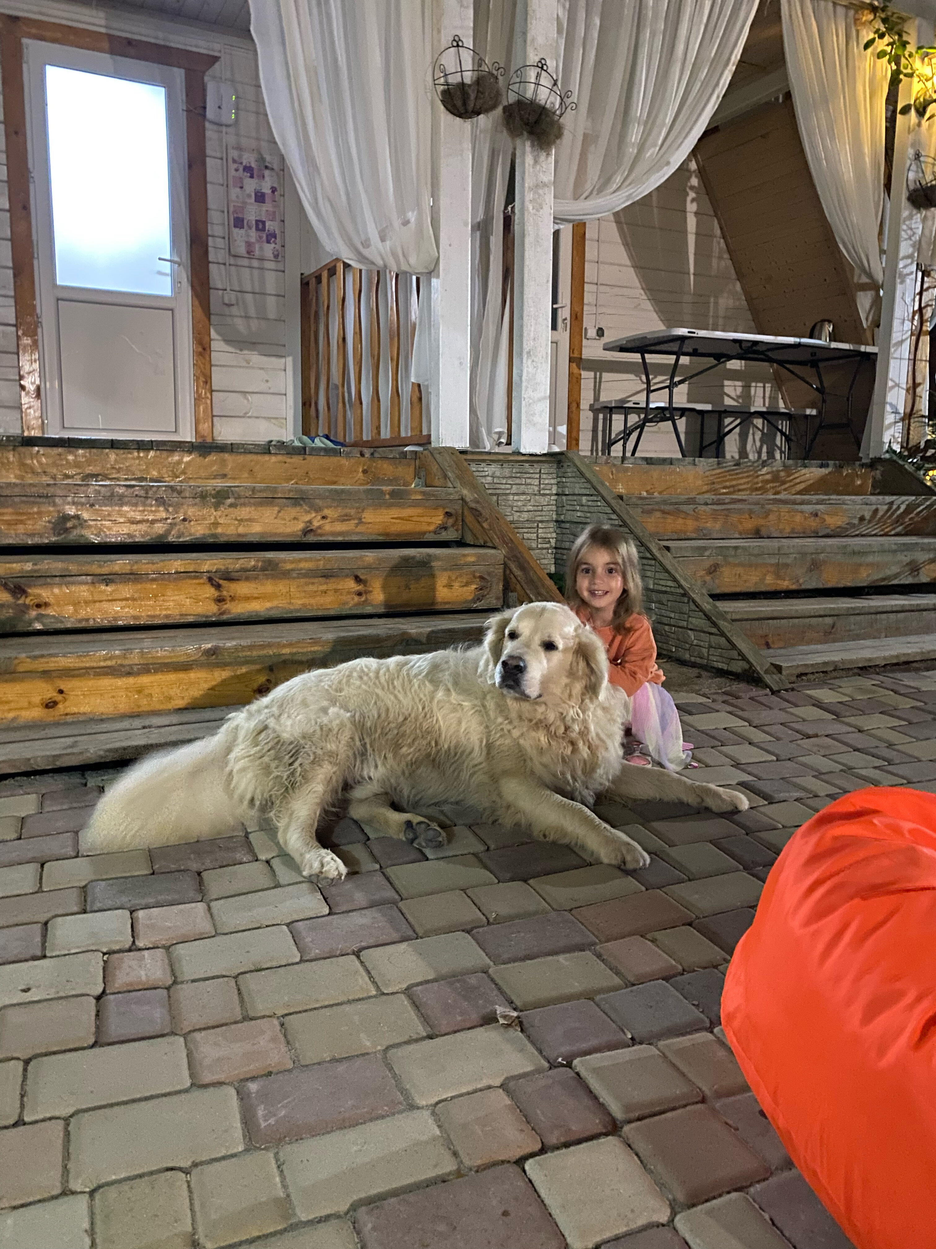 Фото Лесные домики