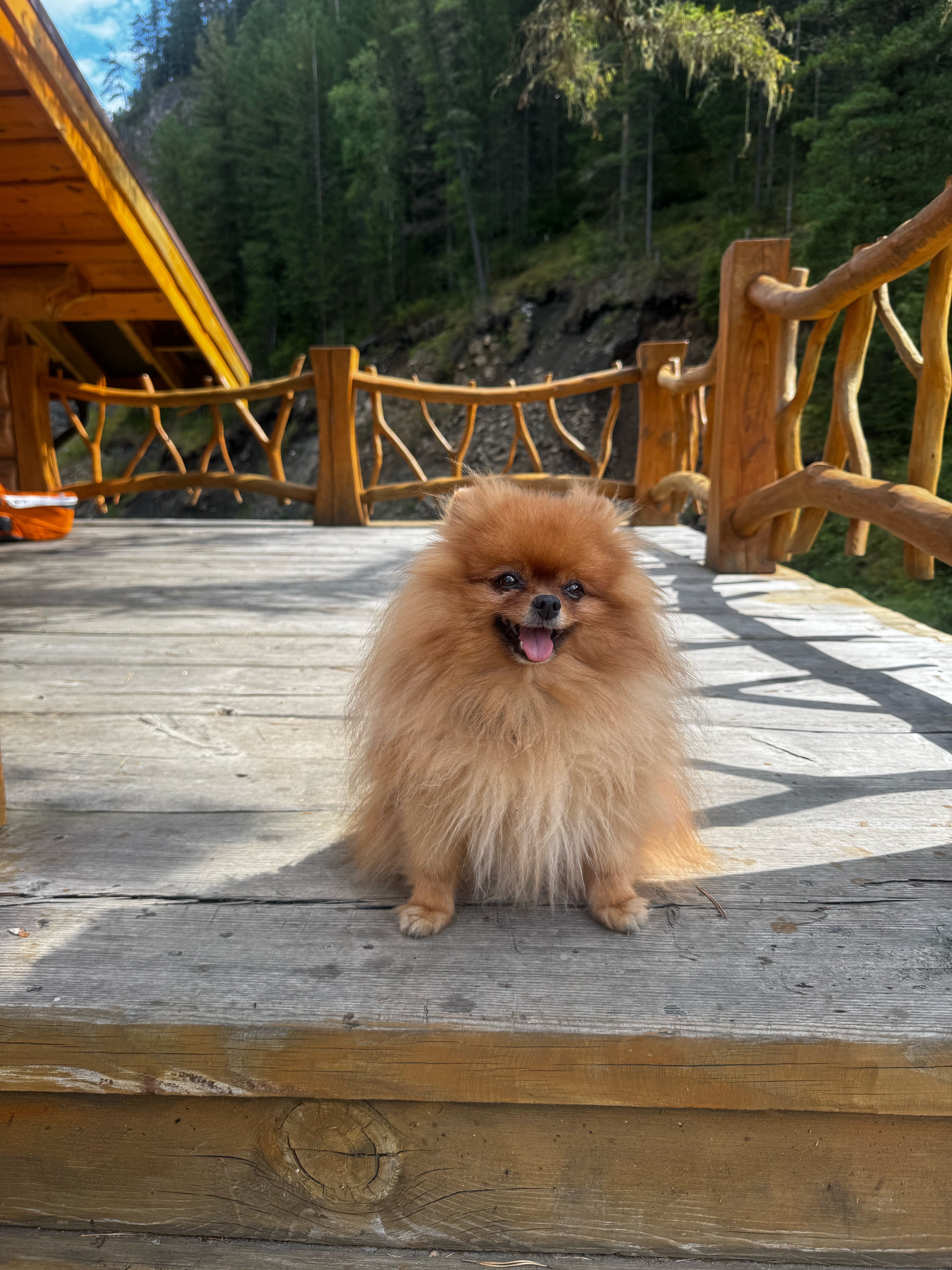 Фото Сказочка