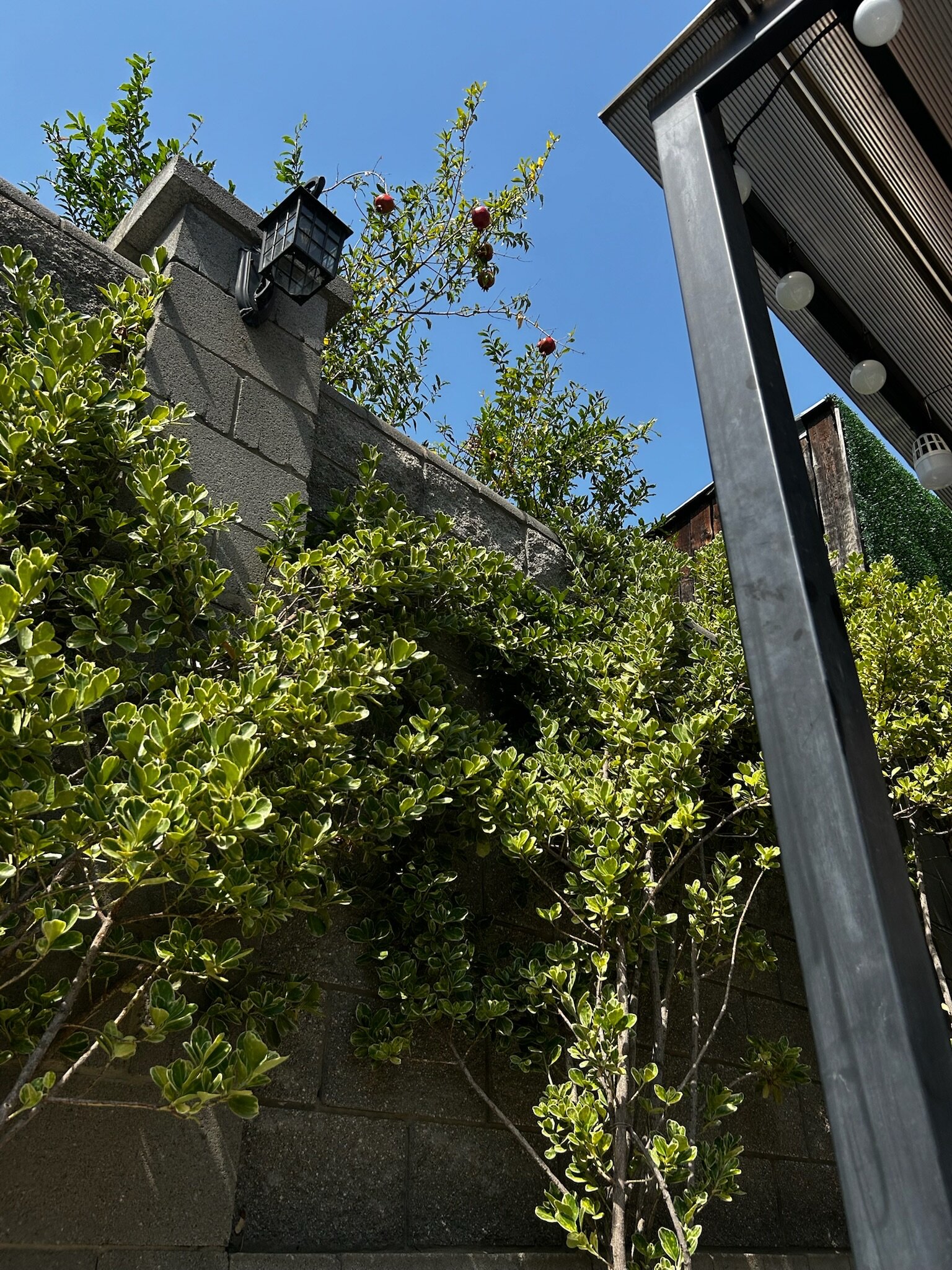 Фото Hotel Vinum