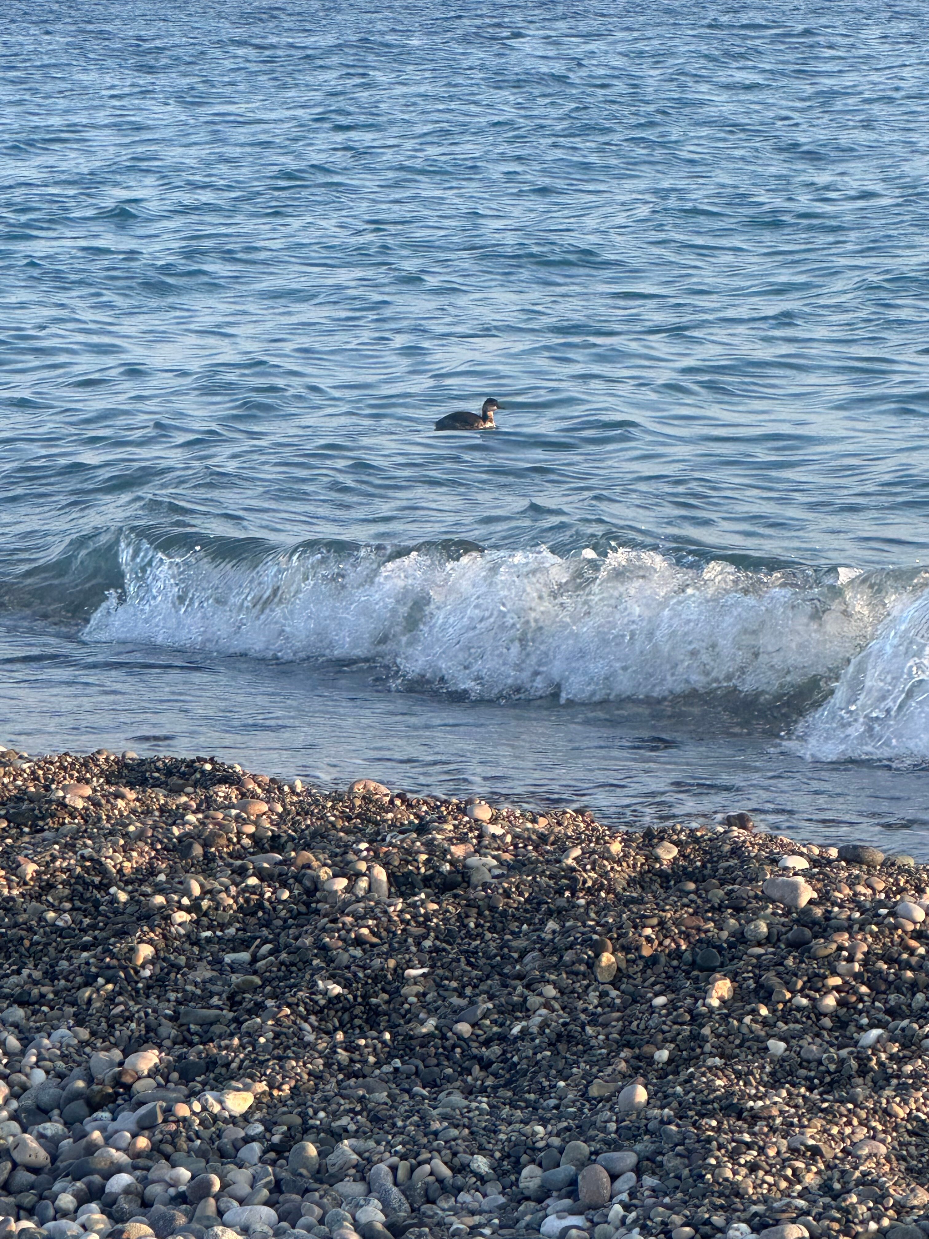 Фото Эко-отель Кедровый