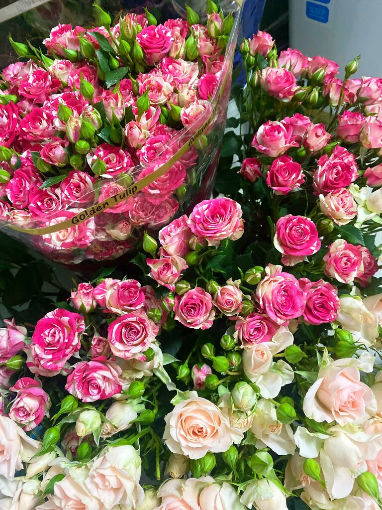 Гүлдер дүкені Мари, Нягань, фото